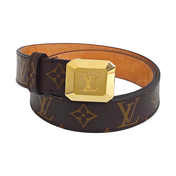 Coated Canvas Belt Brown