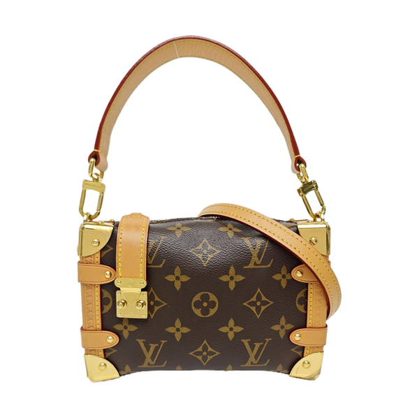 SIDE TRUNK PM Monogram Coated Canvas Brown