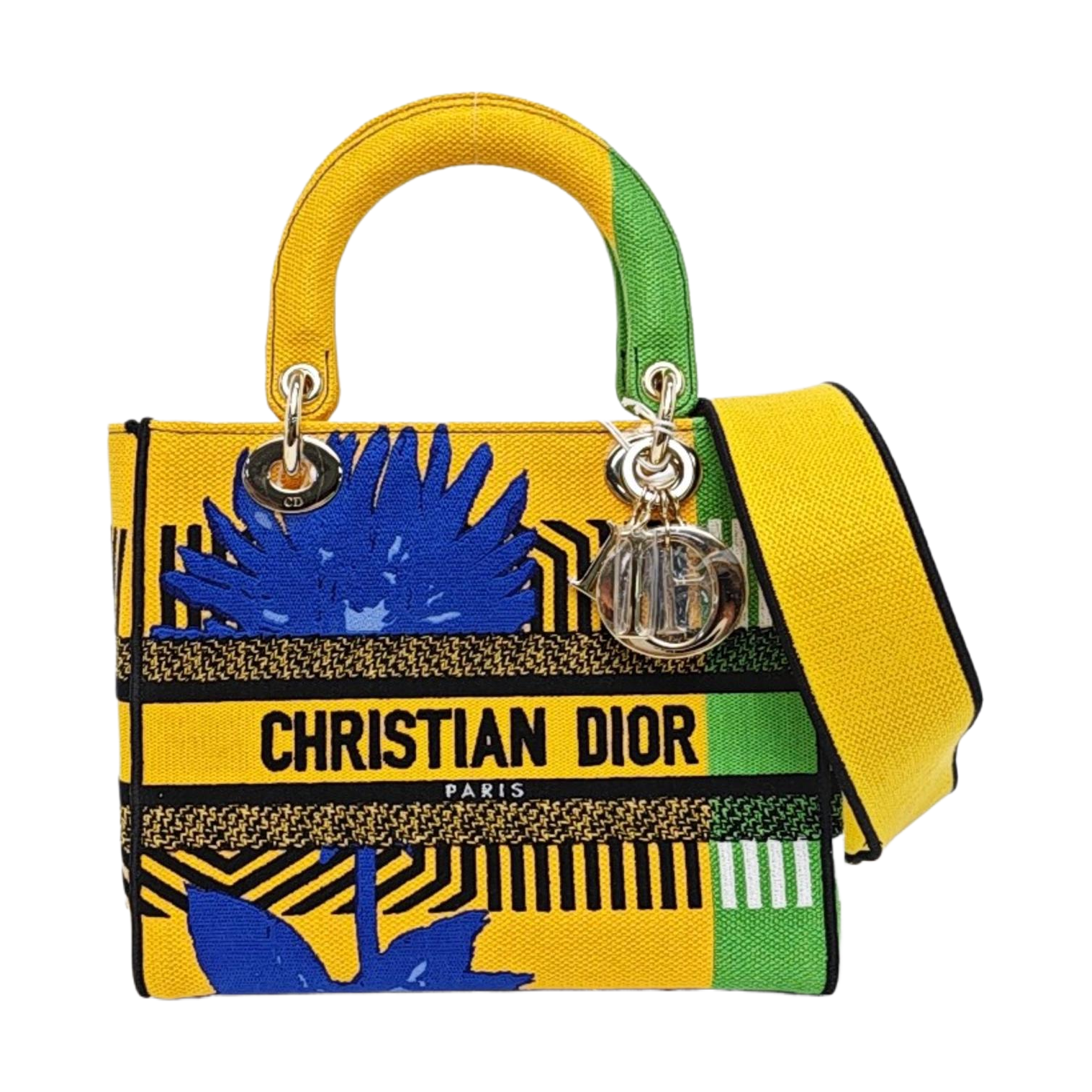 Authenticated pre-owned  Lady D-Lite Medium Fabric Multicolor - Tote Bag at Looply