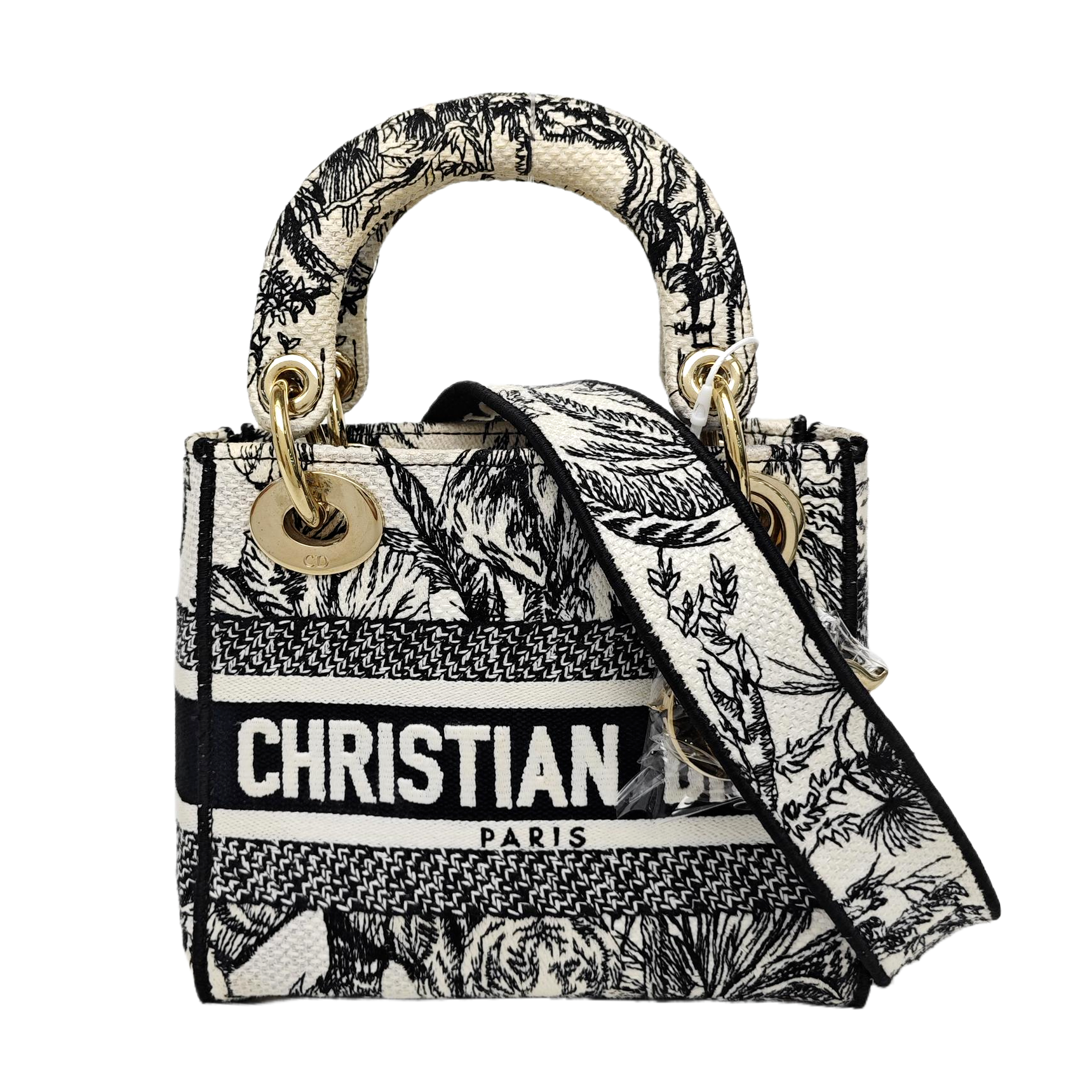 Lady Dior Mini Canvas Multicolor