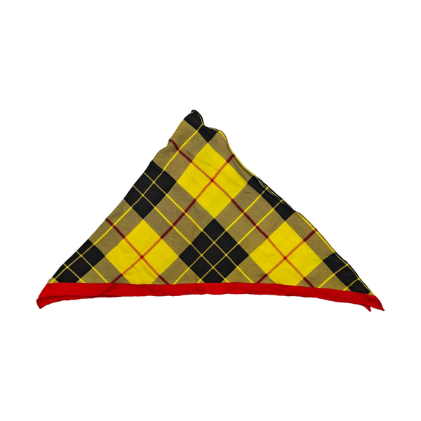 Multicolor Mulberry Silk Scarf