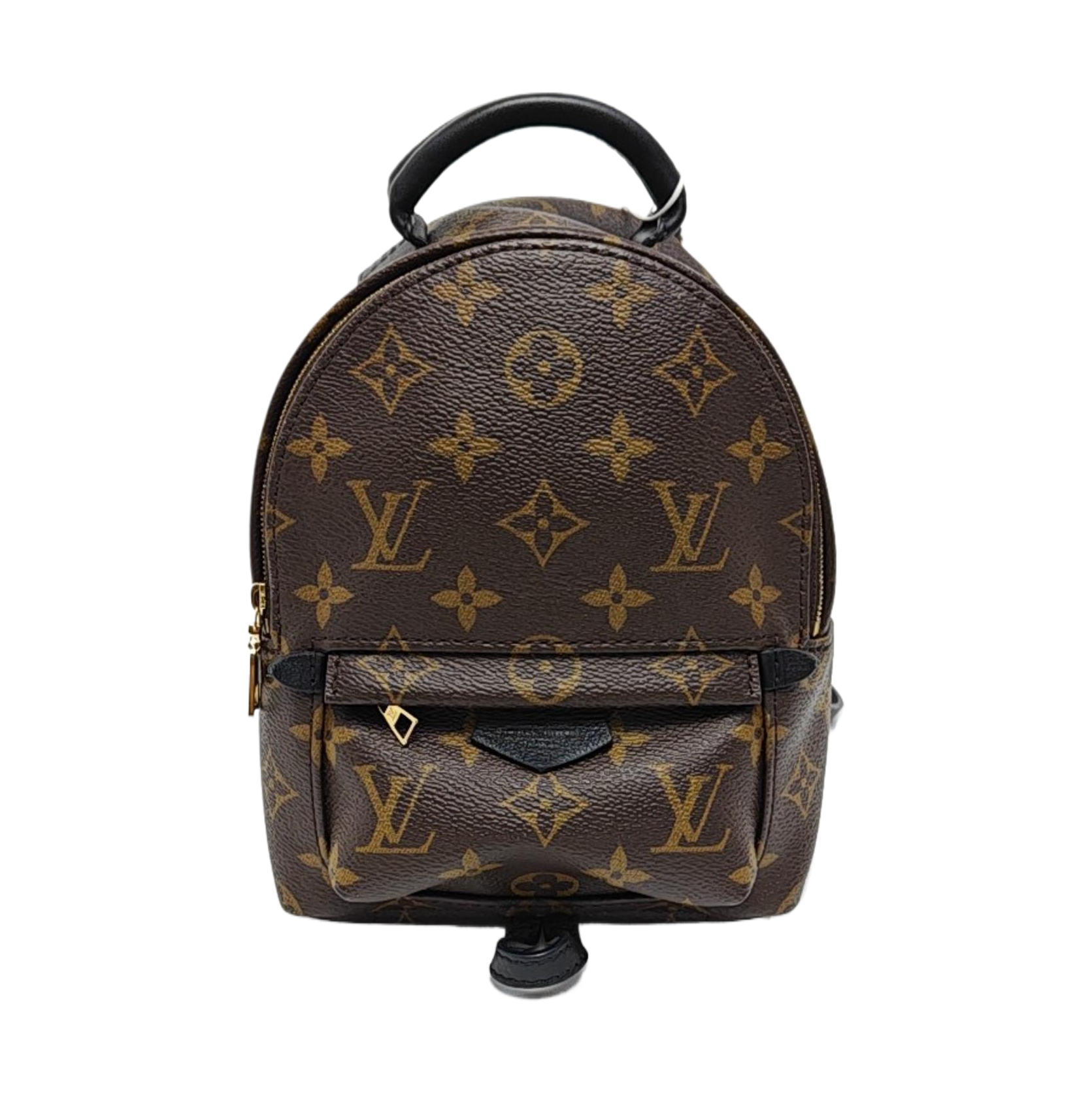 PALM SPRINGS Mini Monogram Coated Canvas Brown