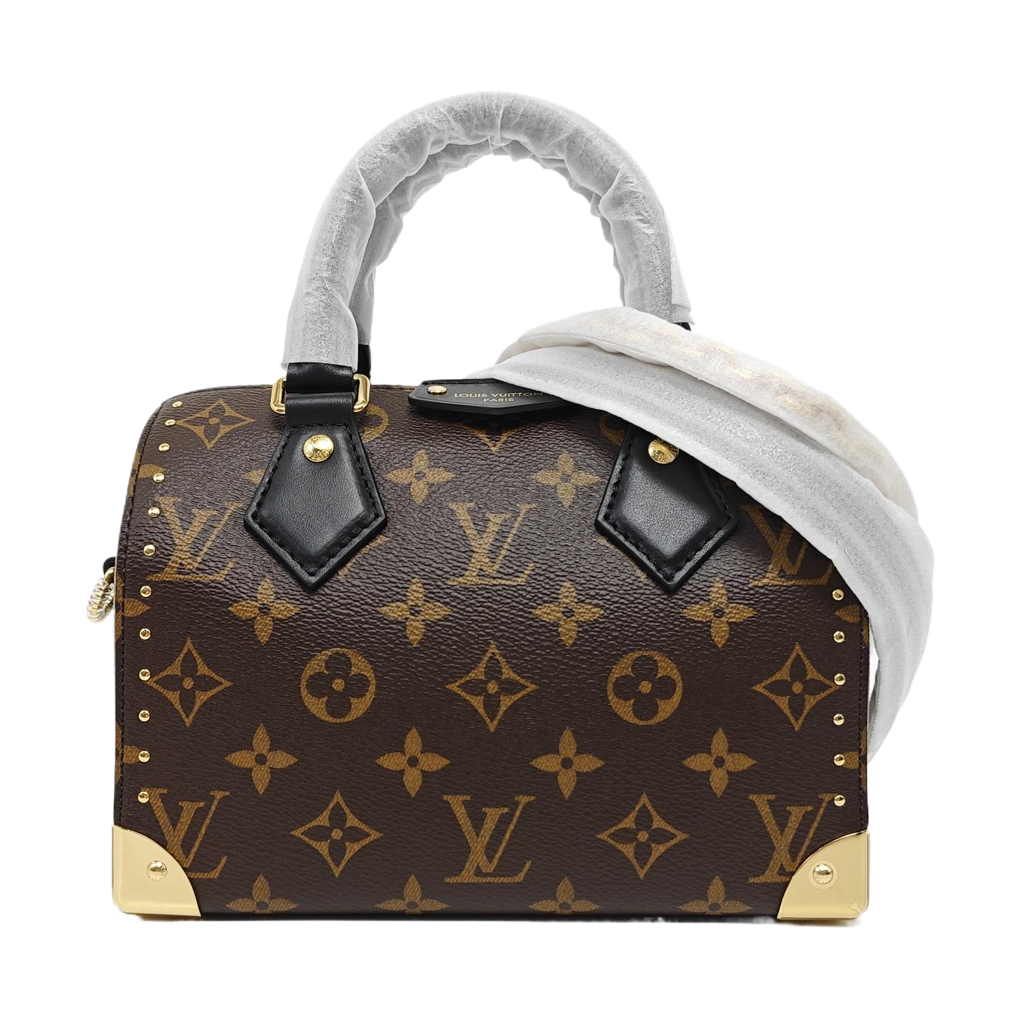 SPEEDY TRUNK 20 Monogram Coated Canvas Brown