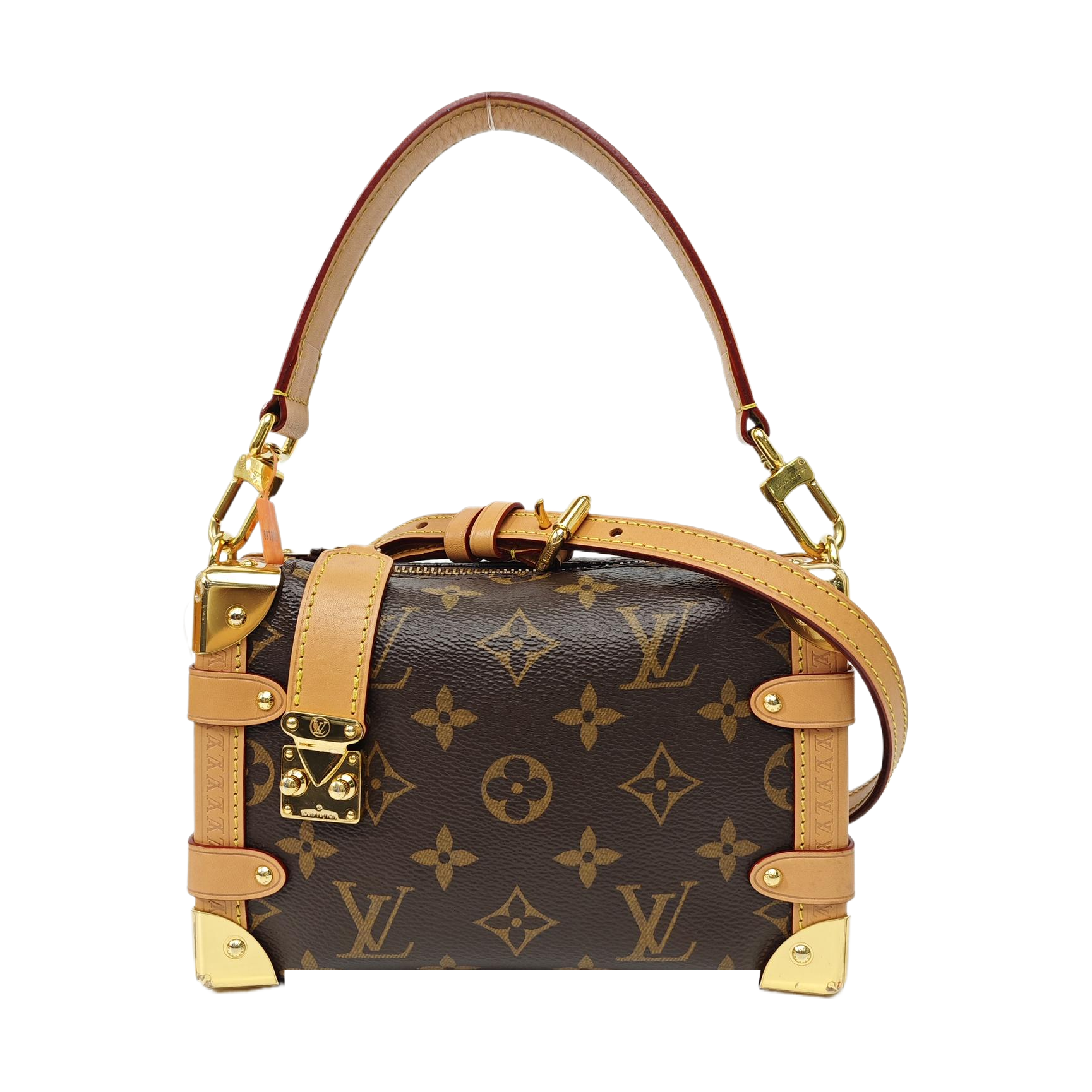 SIDE TRUNK PM Monogram Coated Canvas Brown