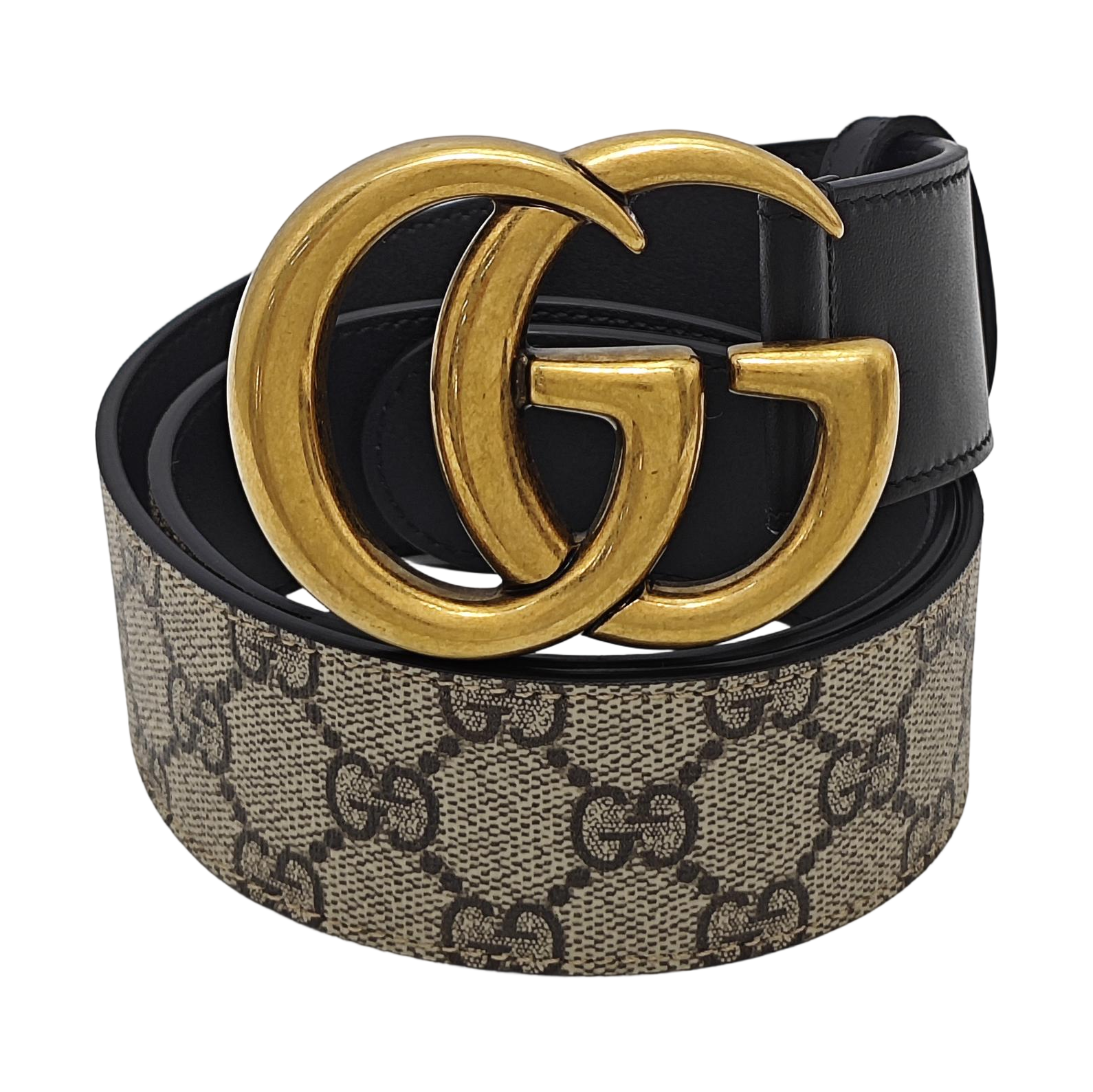 Coated Canvas Belt Beige