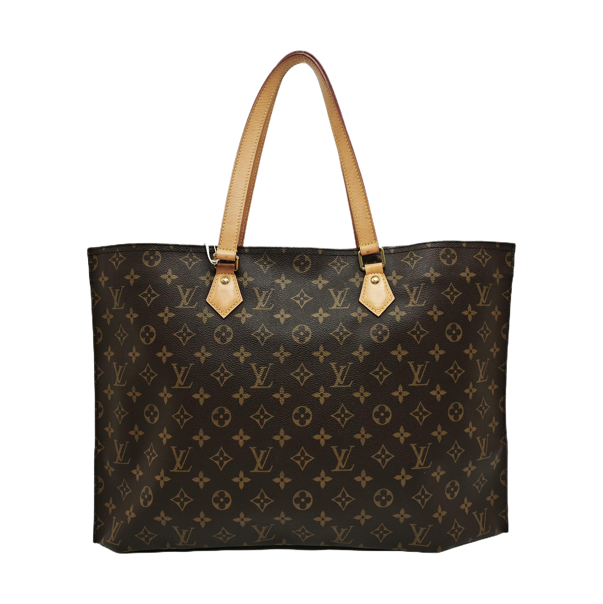 ALL-IN PM Monogram Coated Canvas Brown