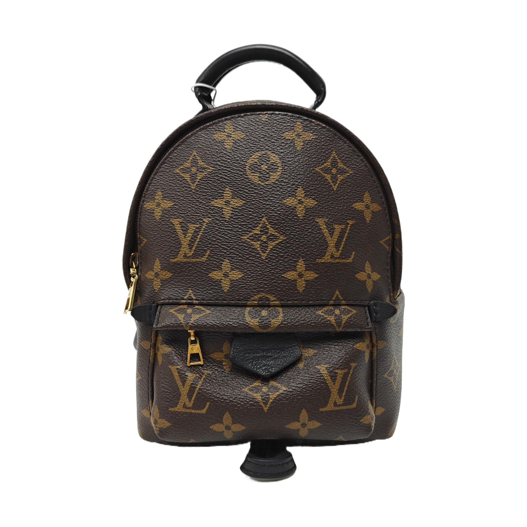 PALM SPRINGS Mini Monogram Coated Canvas Brown