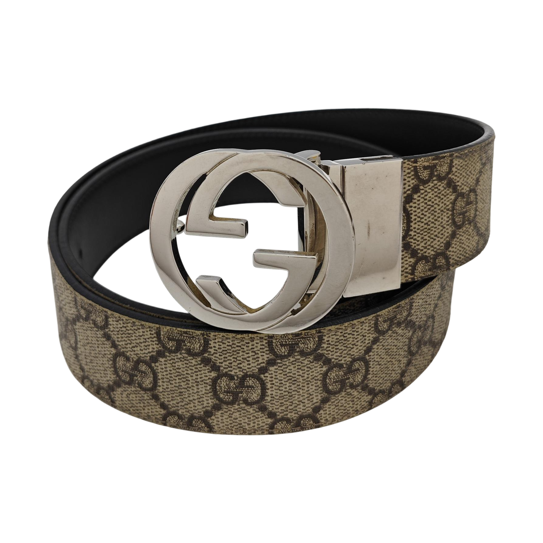 Coated Canvas Belt Beige