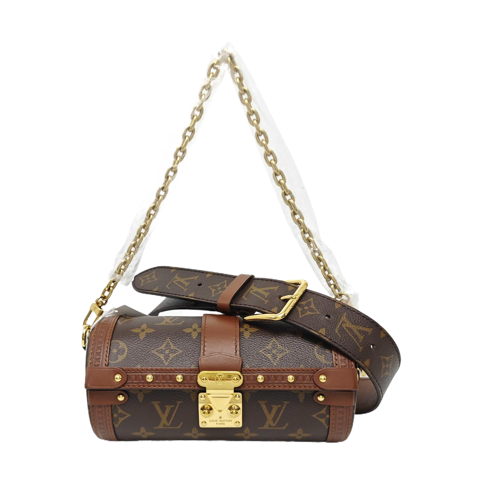 PAPILLON 19 Monogram Coated Canvas Brown