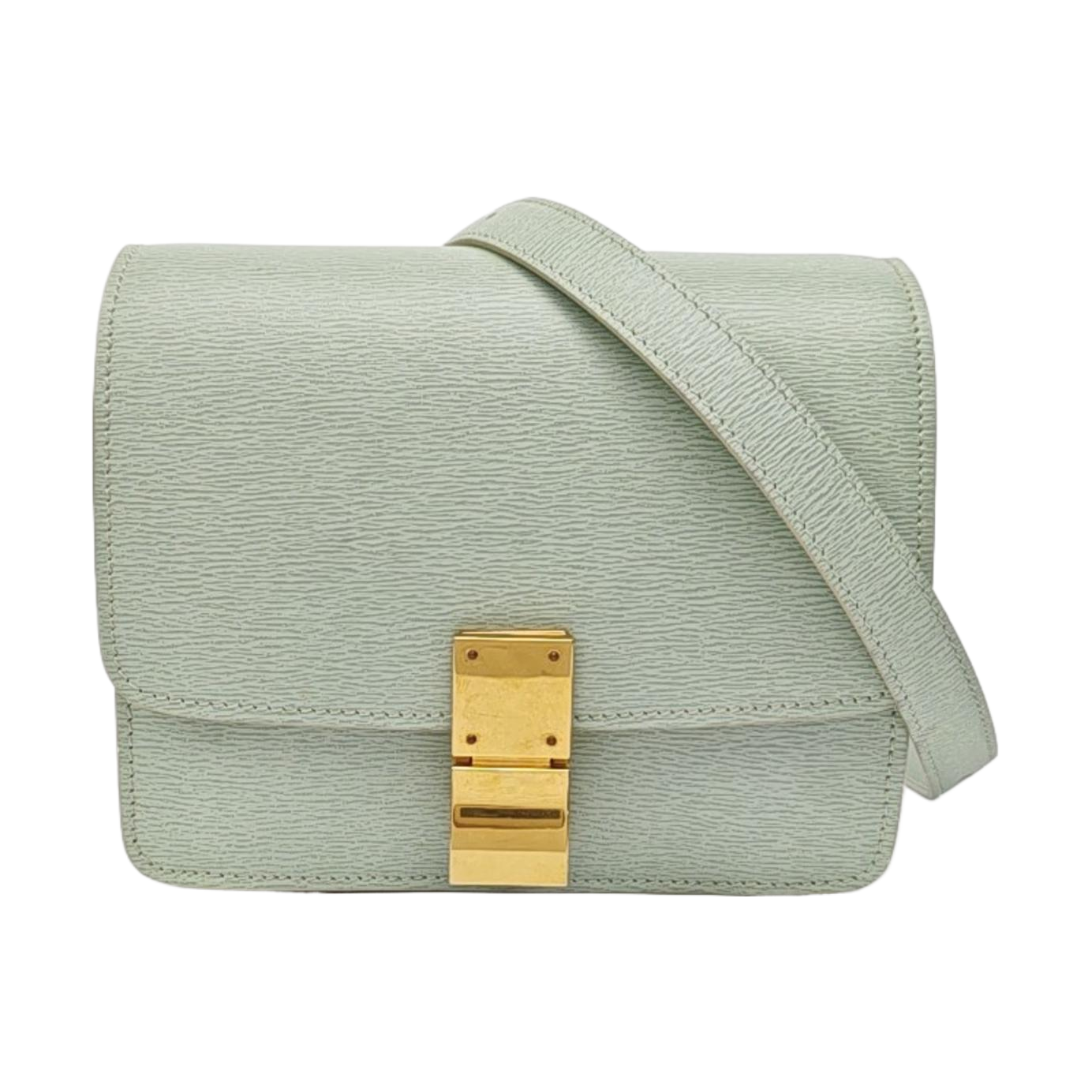 CLASSIC BOX Mini Calfskin Green