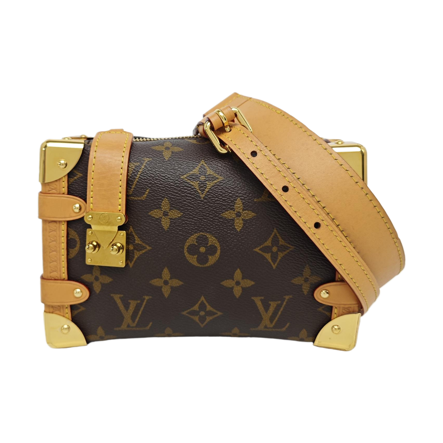 SIDE TRUNK PM Monogram Coated Canvas Brown