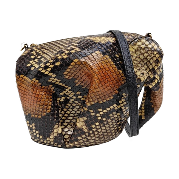 Animals Python Multicolor