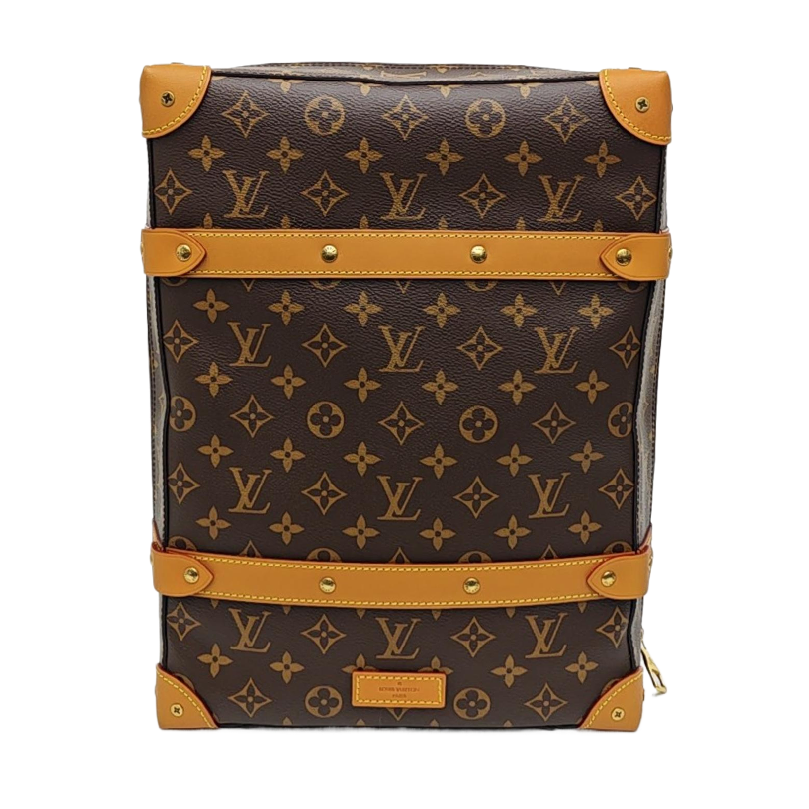 SOFT TRUNK PM Monogram Coated Canvas Brown