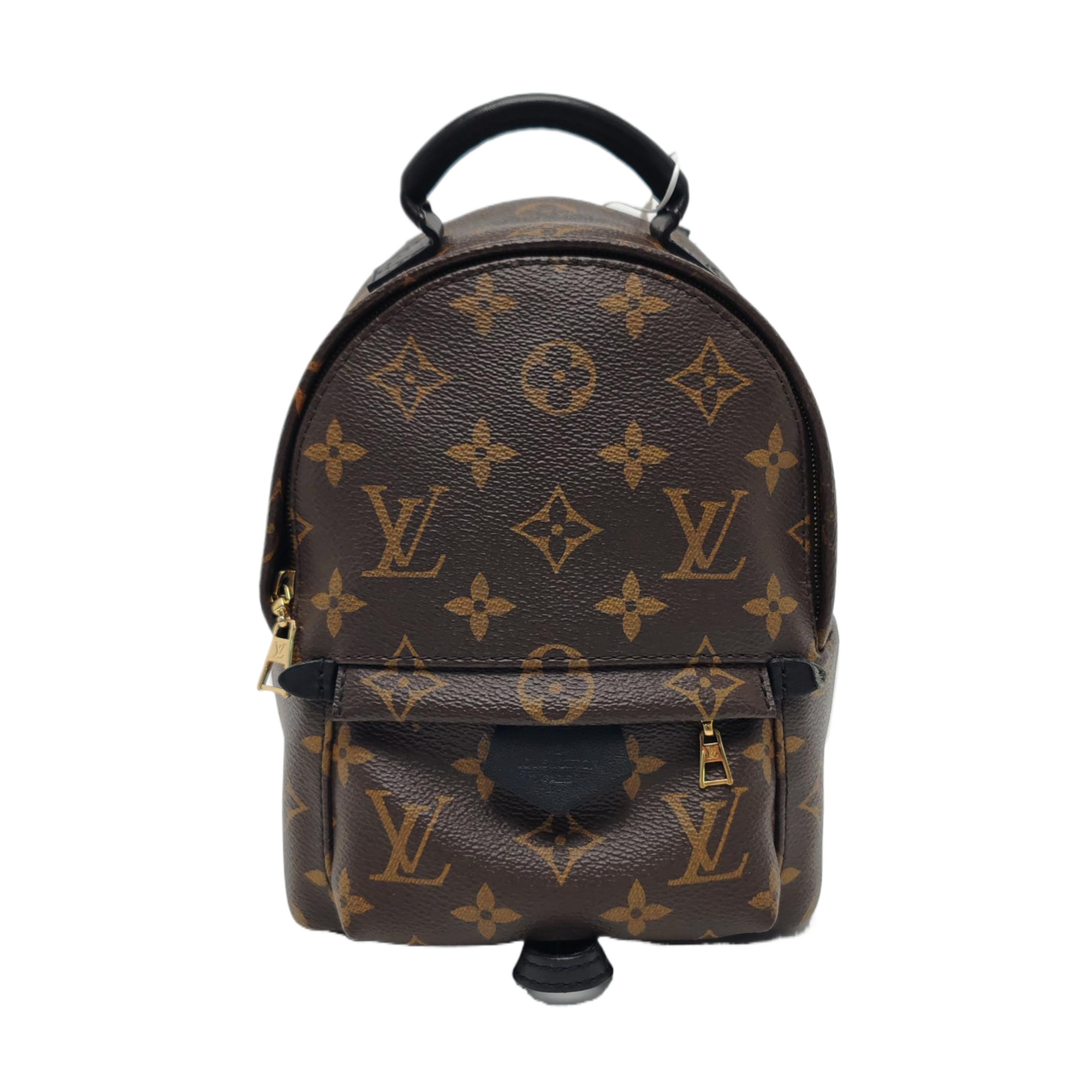 PALM SPRINGS Mini Monogram Coated Canvas Brown