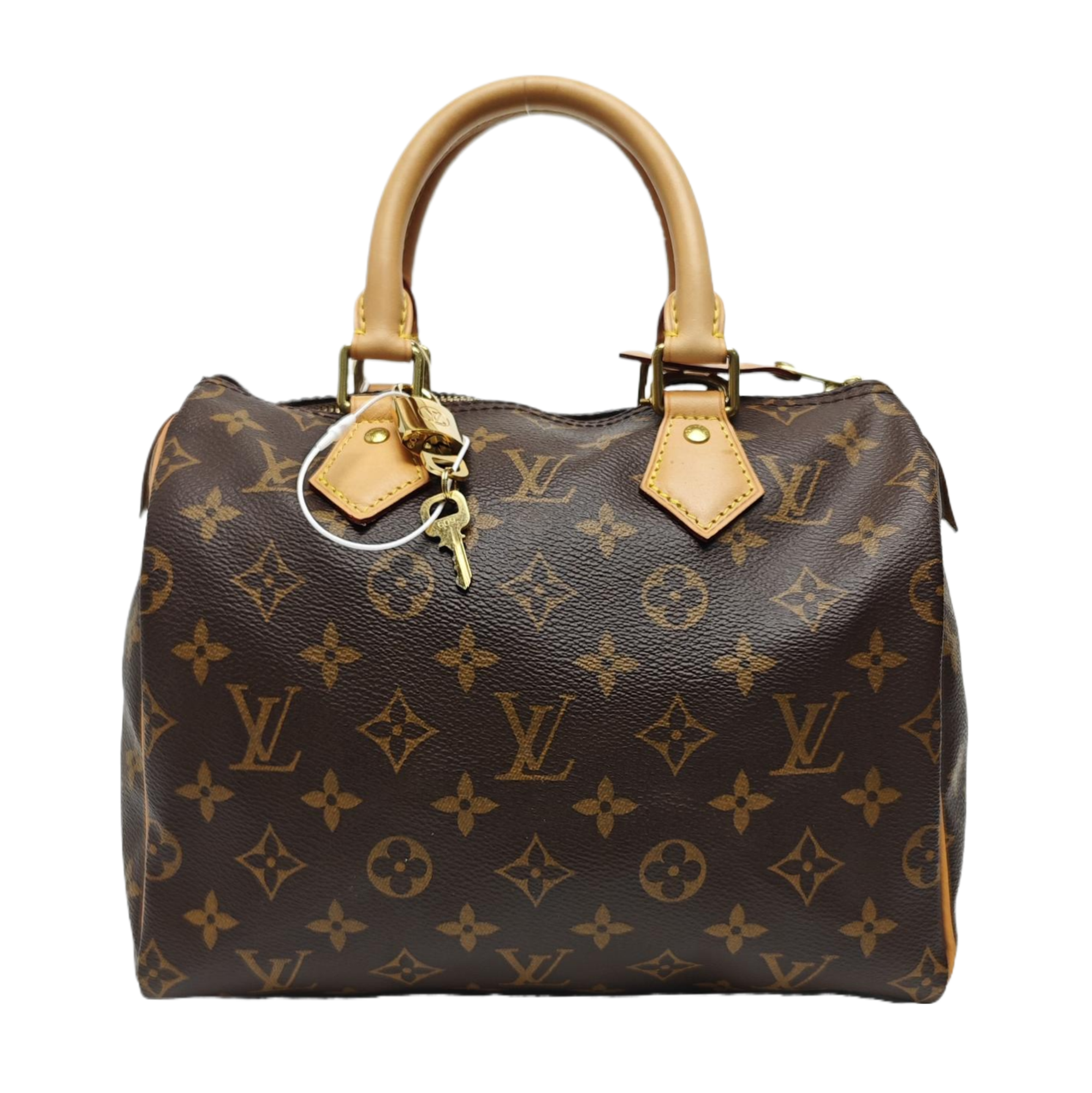 SPEEDY 25 Monogram Coated Canvas Brown