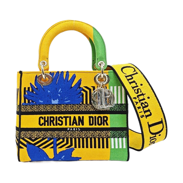 Authenticated pre-owned  Lady D-Lite Medium Fabric Multicolor - Tote Bag at Looply