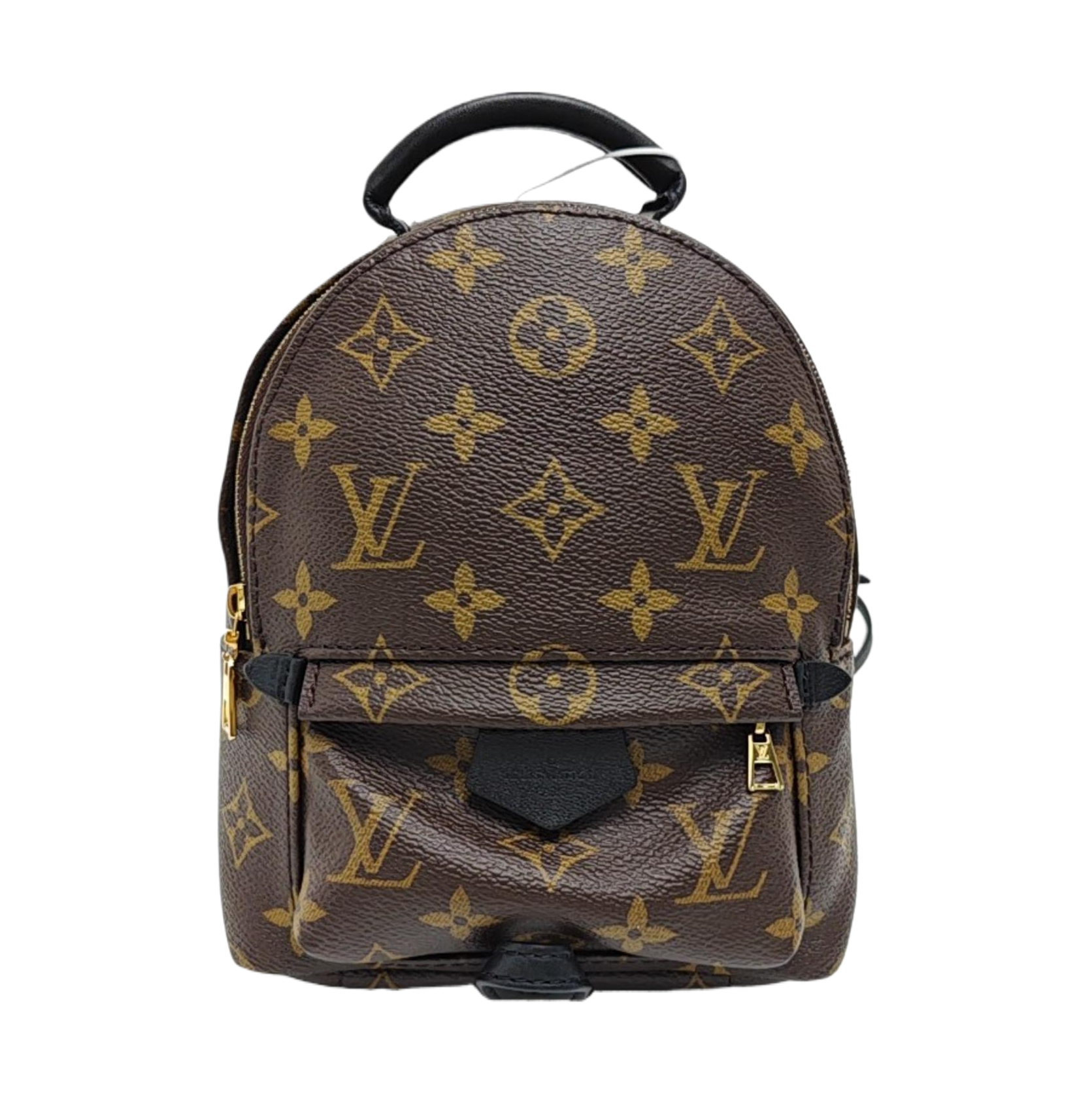 PALM SPRINGS Mini Monogram Coated Canvas Brown
