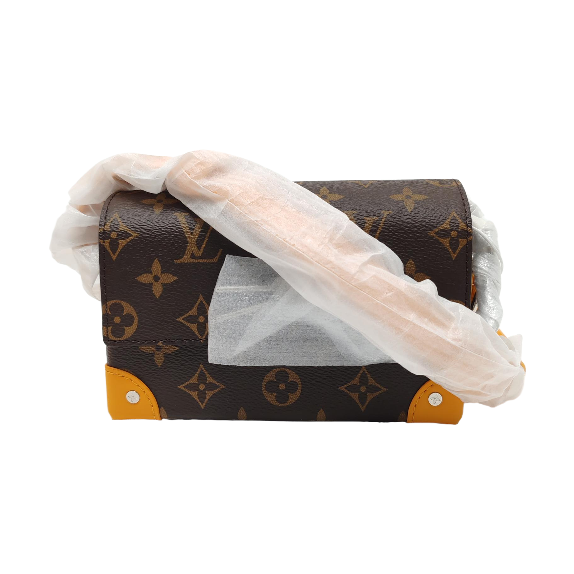 SOFT TRUNK Mini Monogram Coated Canvas Brown