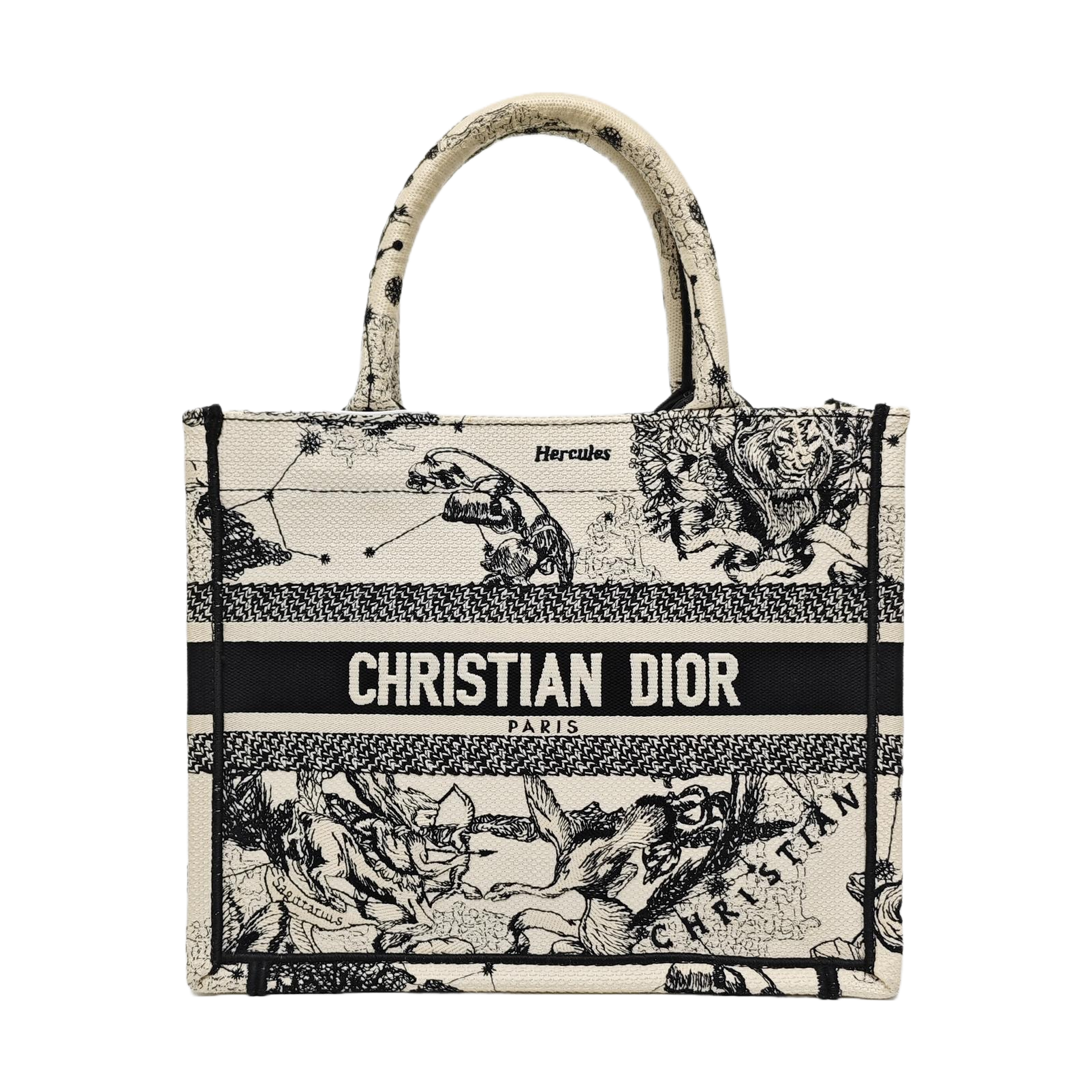 Book Tote Small Canvas White