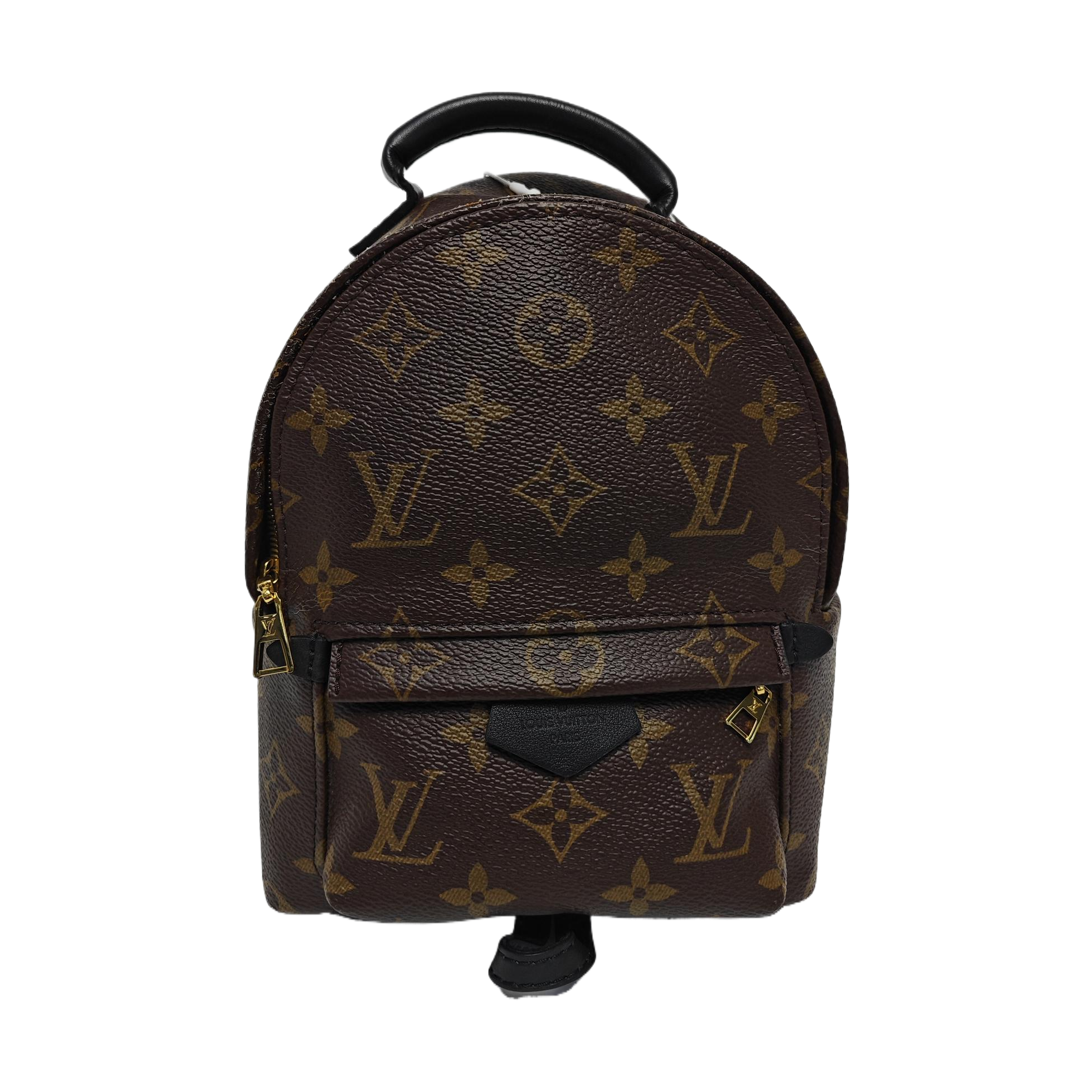 PALM SPRINGS Mini Monogram Coated Canvas Brown