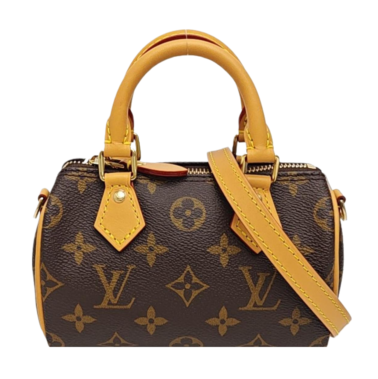 SPEEDY Nano Monogram Coated Canvas Brown