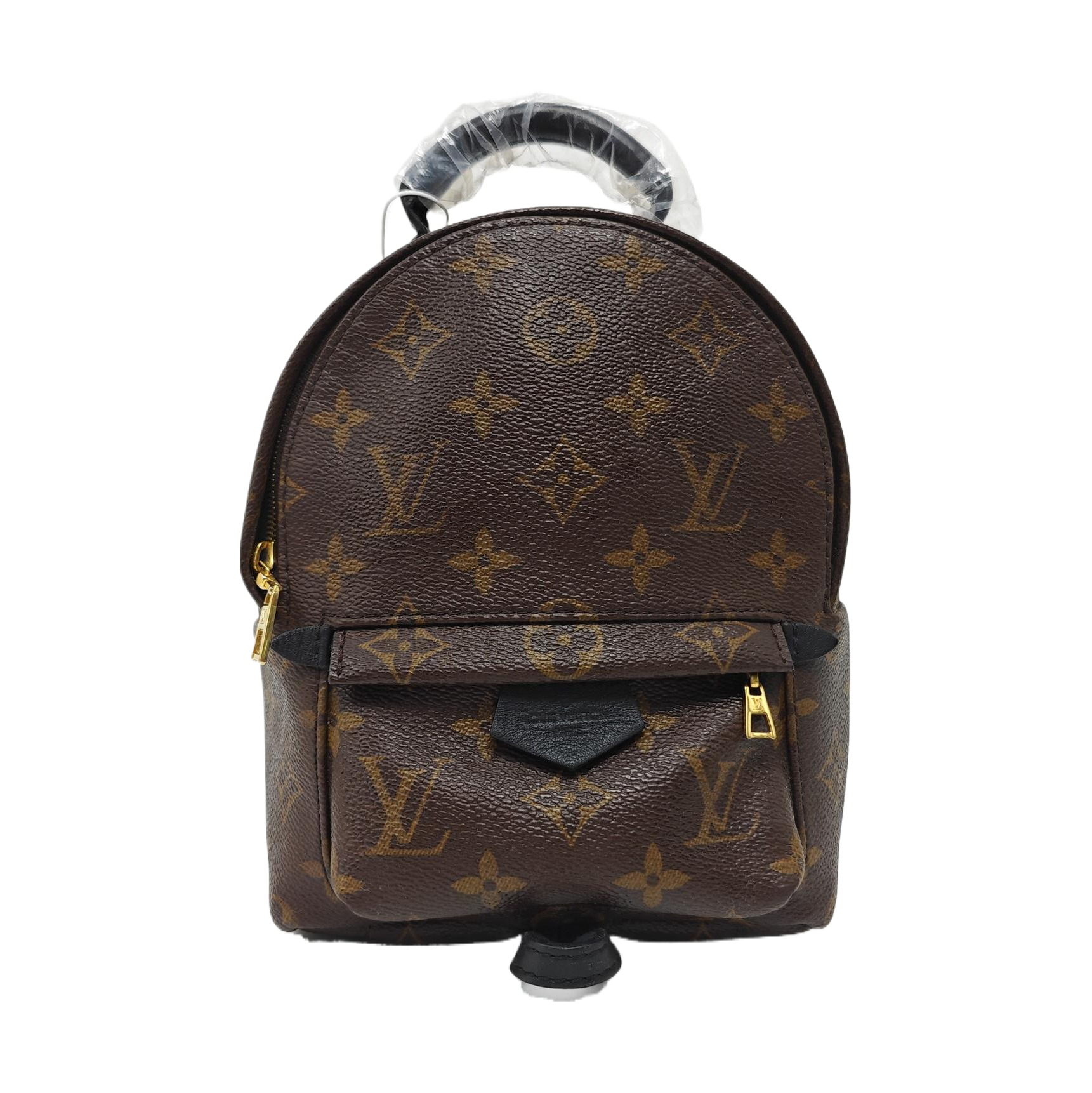 PALM SPRINGS Mini Monogram Coated Canvas Brown