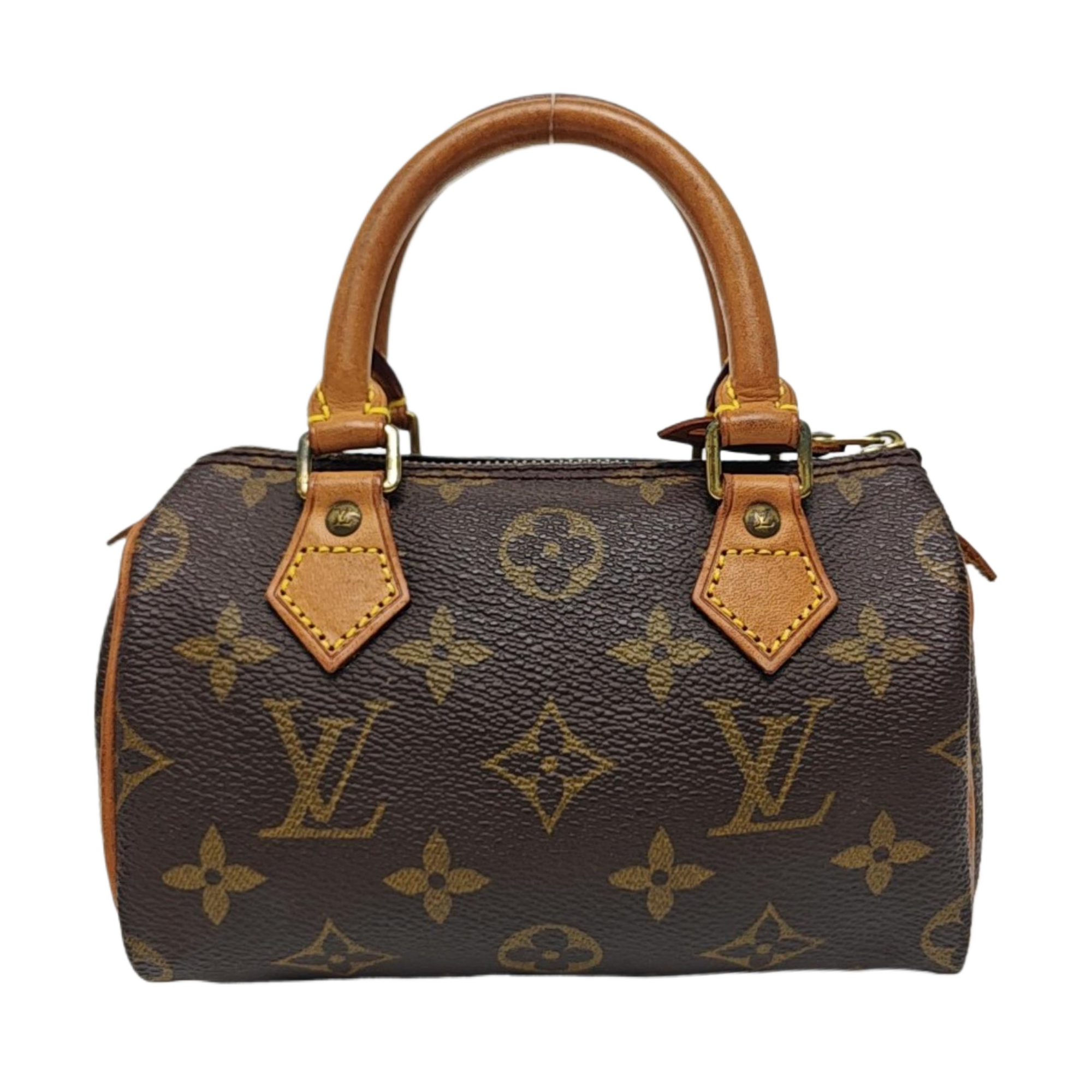 SPEEDY Nano Monogram Coated Canvas Brown