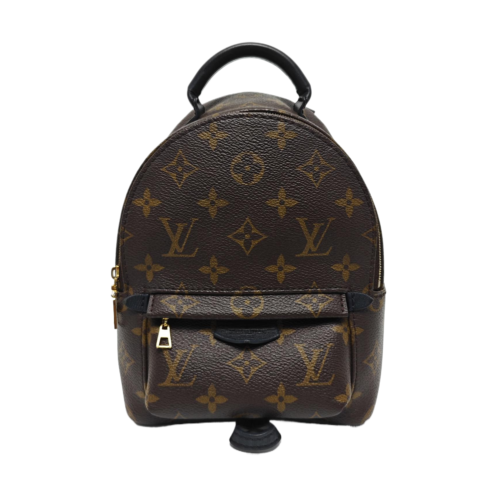PALM SPRINGS Mini Monogram Coated Canvas Brown