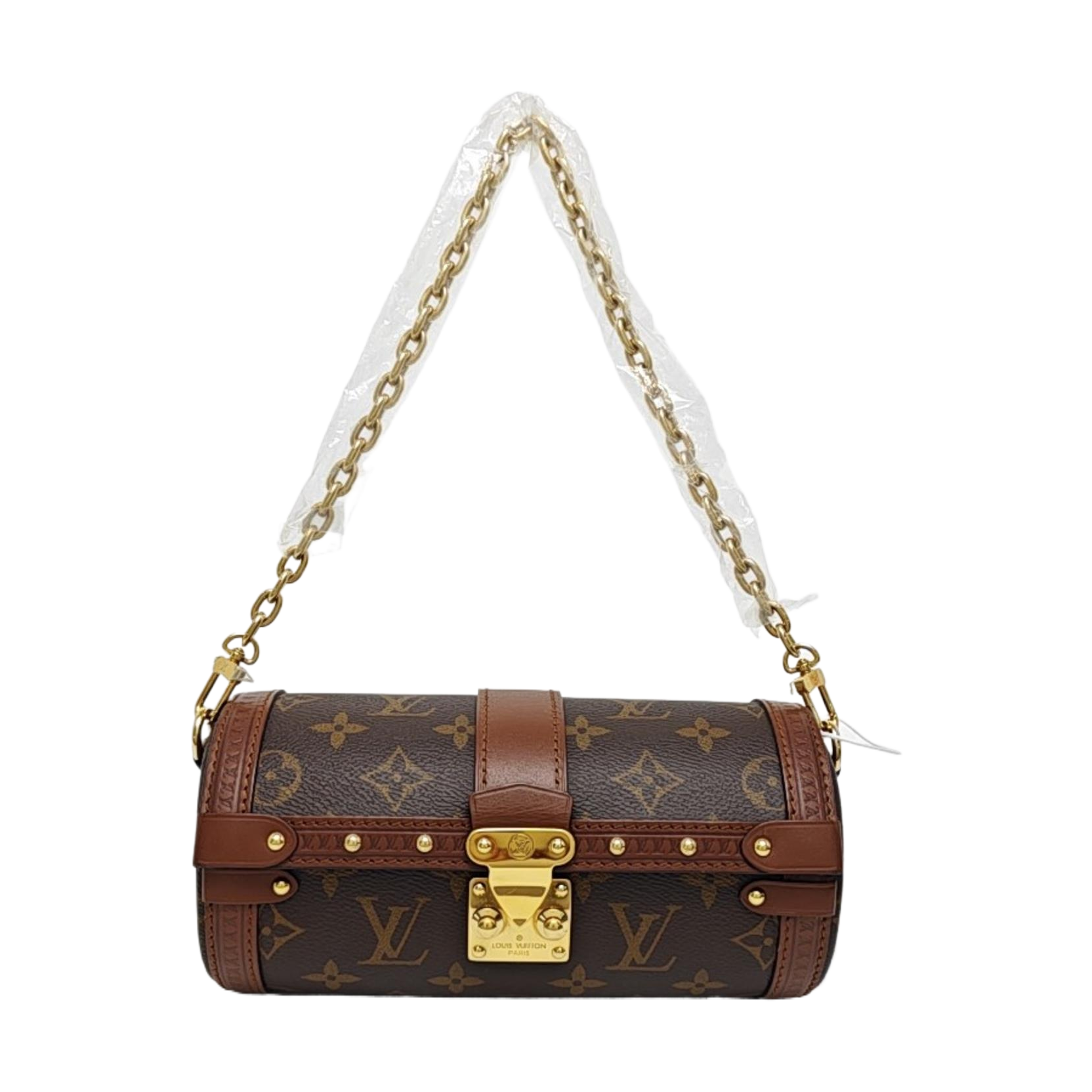 PAPILLON 19 Monogram Coated Canvas Brown