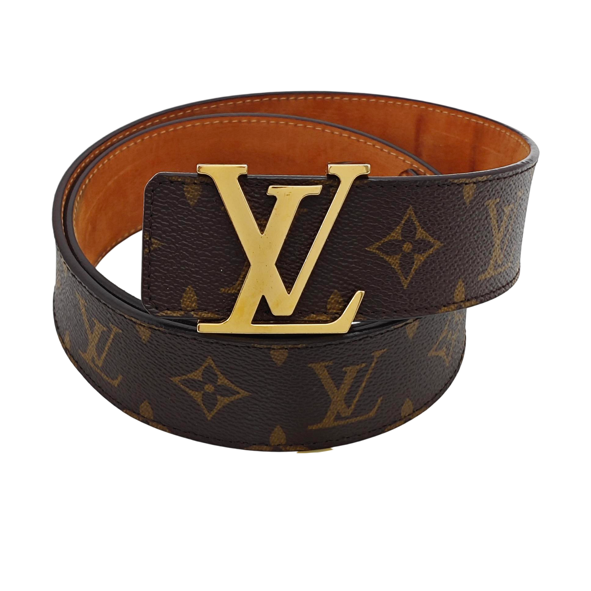 Coated Canvas Belt Brown