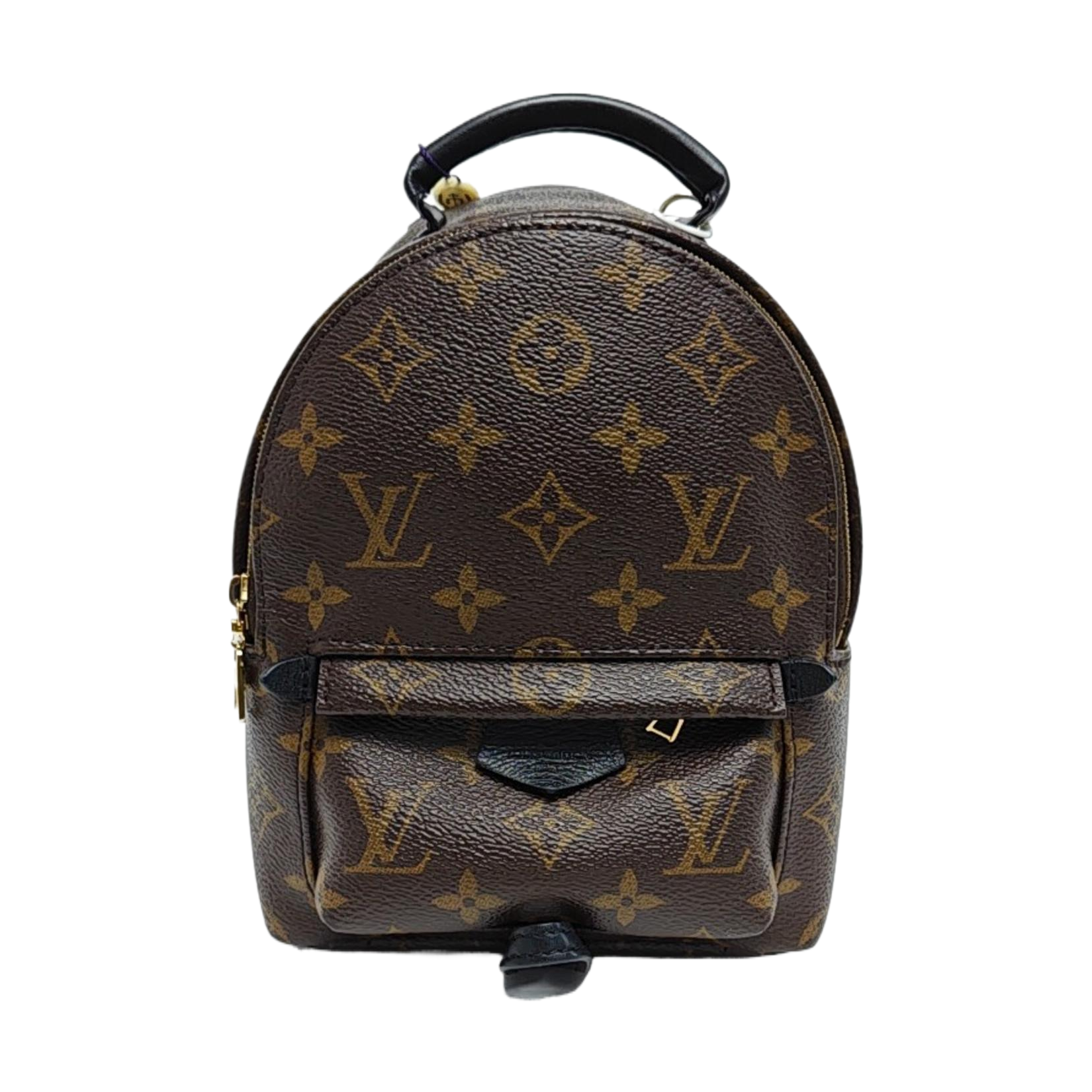 PALM SPRINGS Mini Monogram Coated Canvas Brown