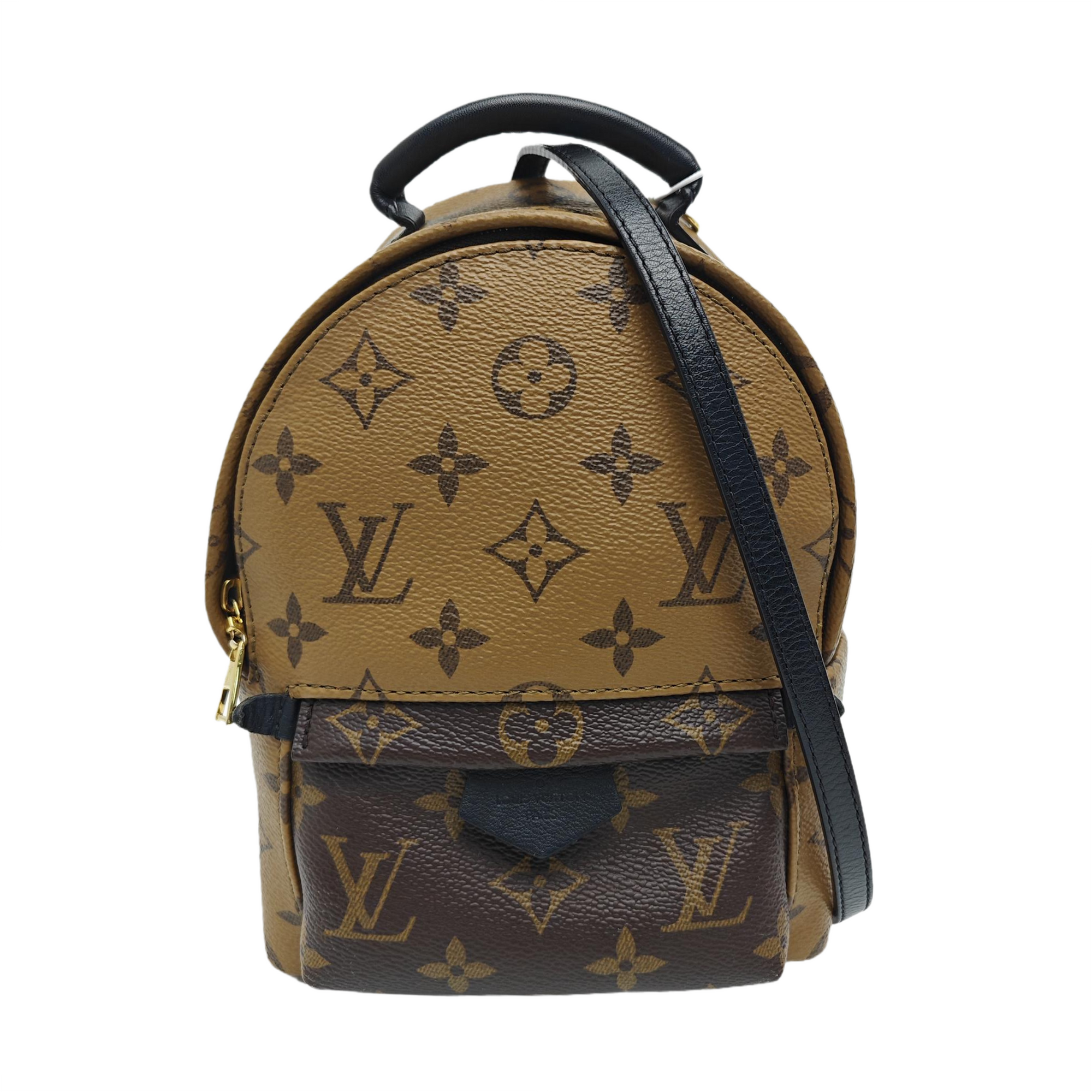 PALM SPRINGS Mini Monogram Coated Canvas Brown