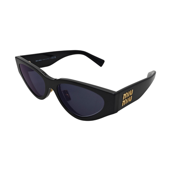 Synthetic Sunglasses Blue
