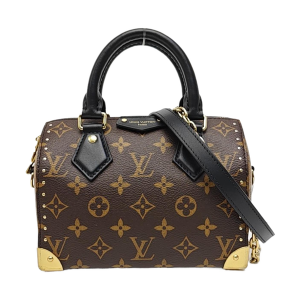 SPEEDY TRUNK 20 Monogram Coated Canvas Brown