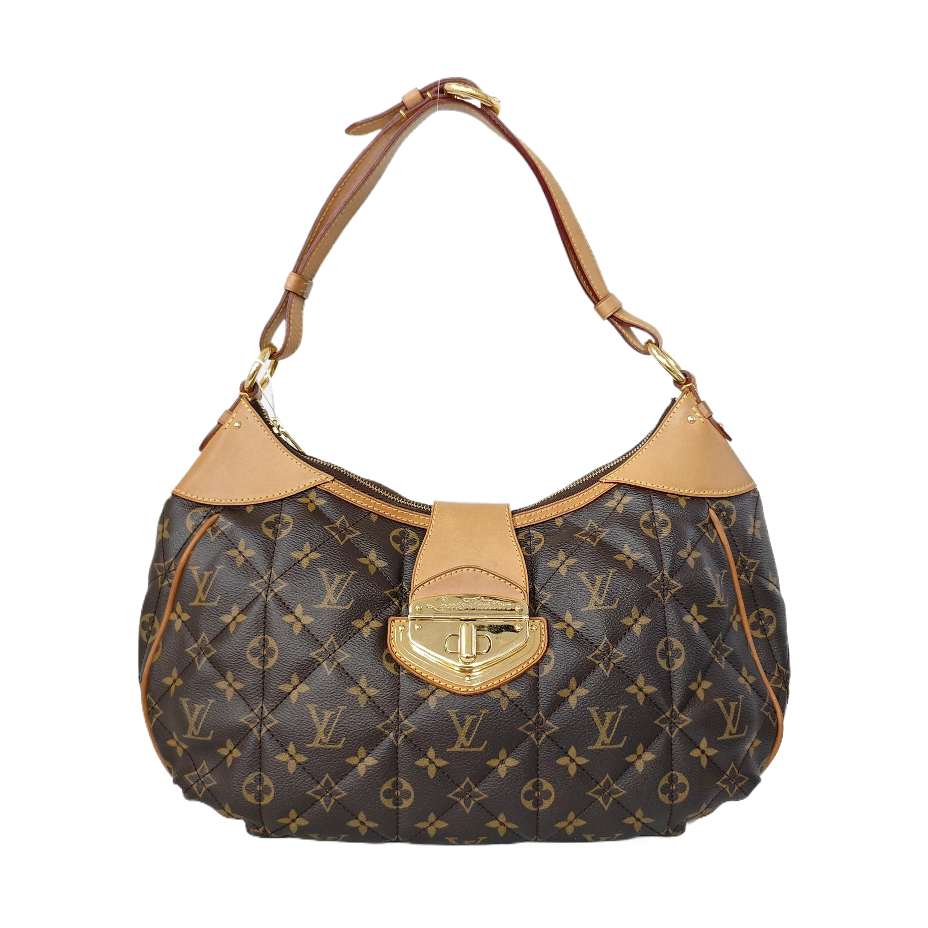ETOILE CITY GM Monogram Coated Canvas Brown