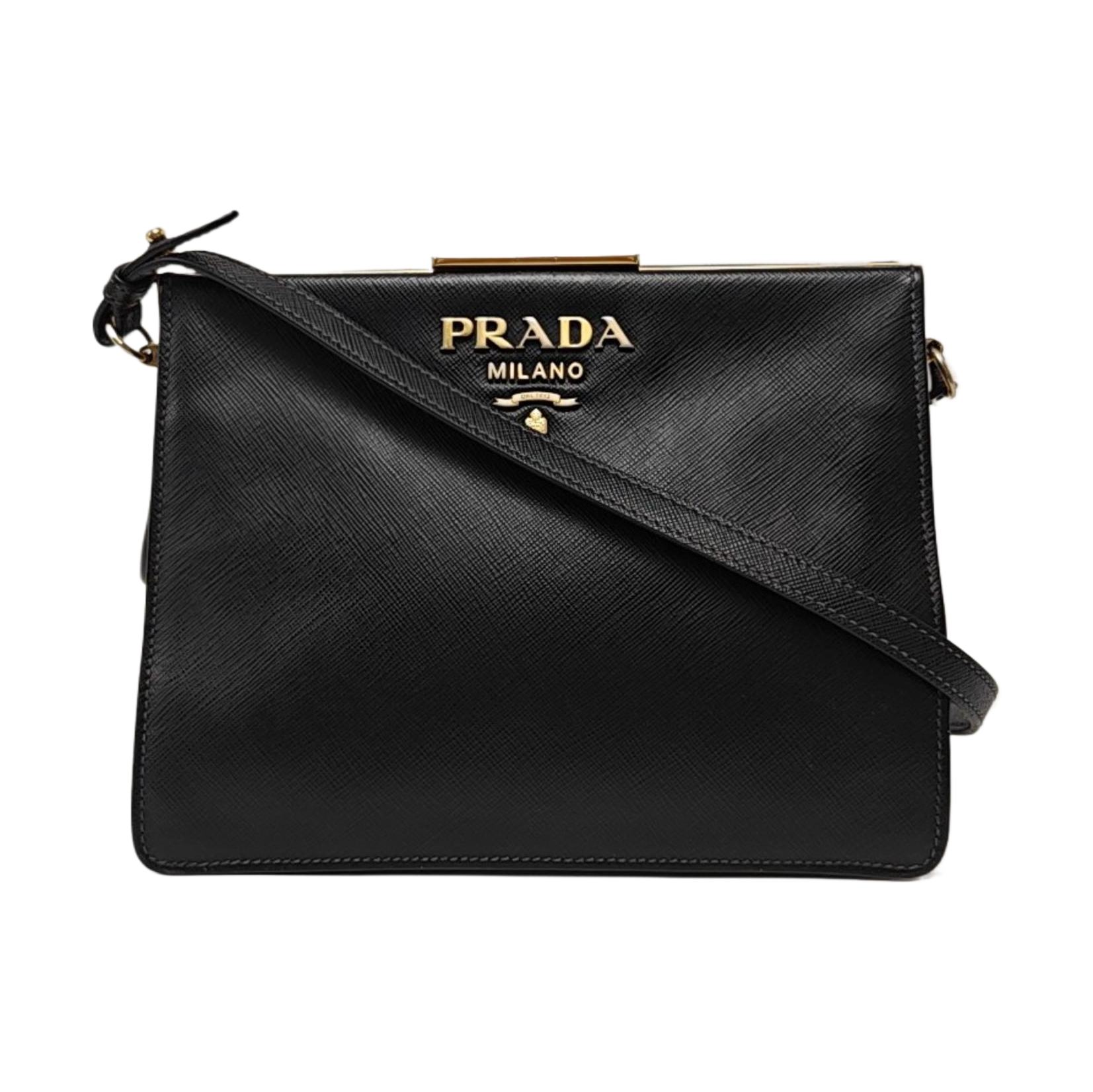 Light Frame Saffiano Calfskin Black