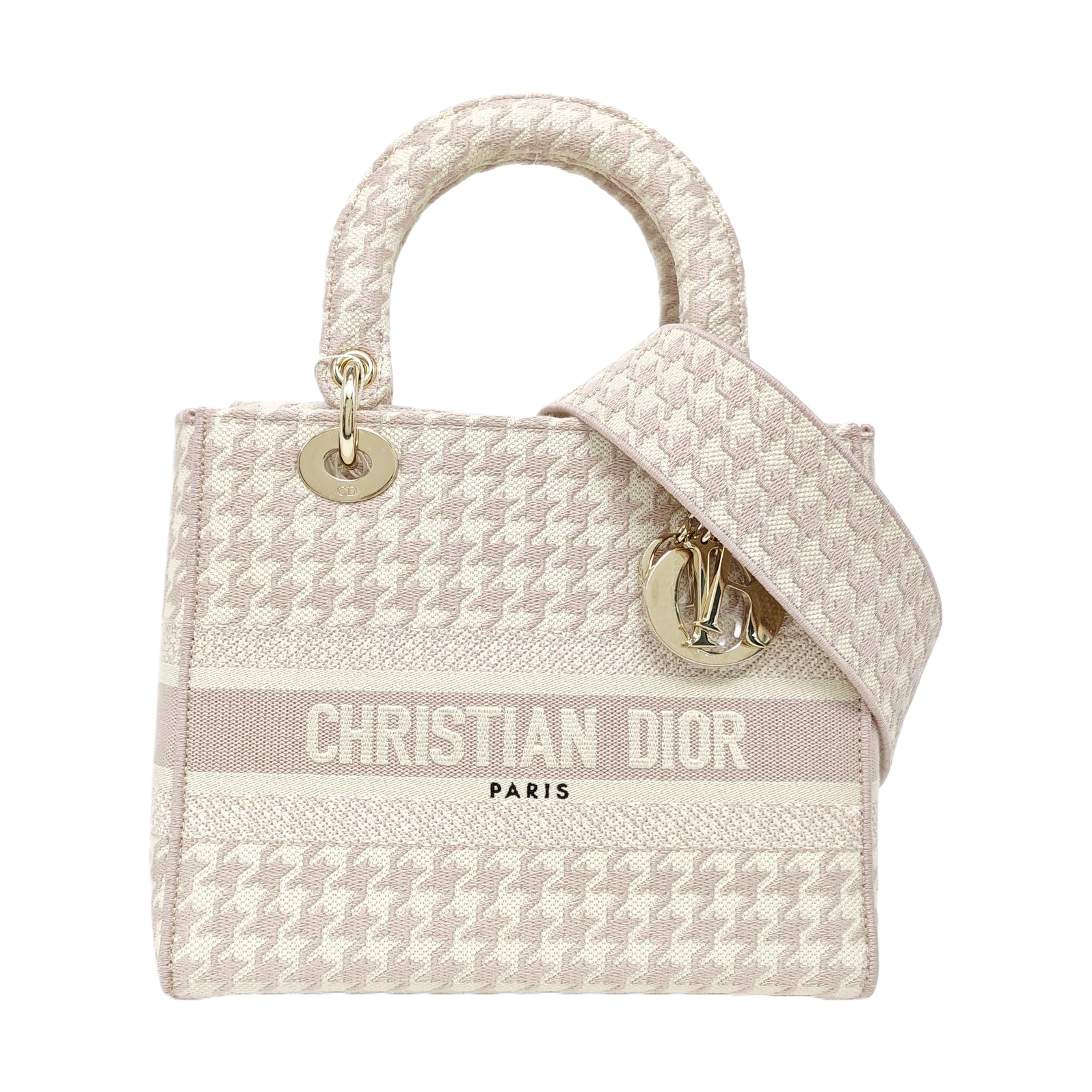 Authenticated pre-owned  Lady D-Lite Medium Fabric Multicolor - Tote Bag at Looply