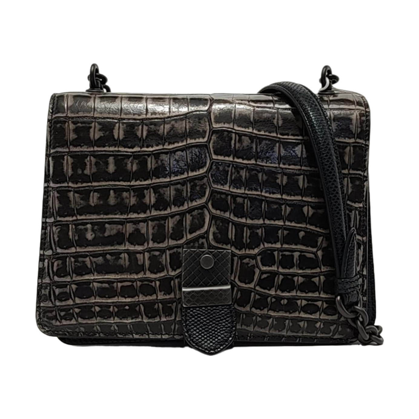 Crocodile Black