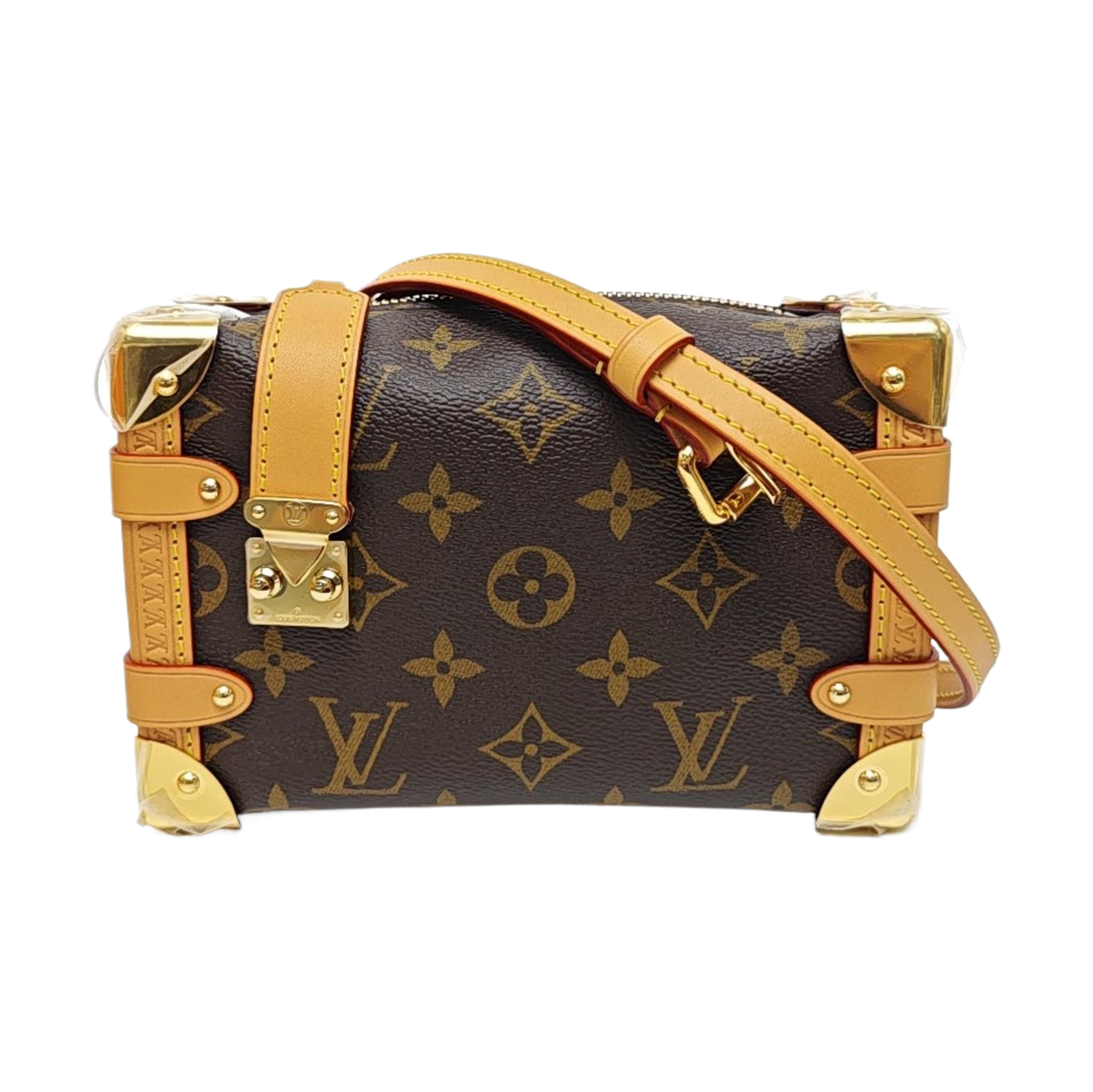 SIDE TRUNK PM Monogram Coated Canvas Brown