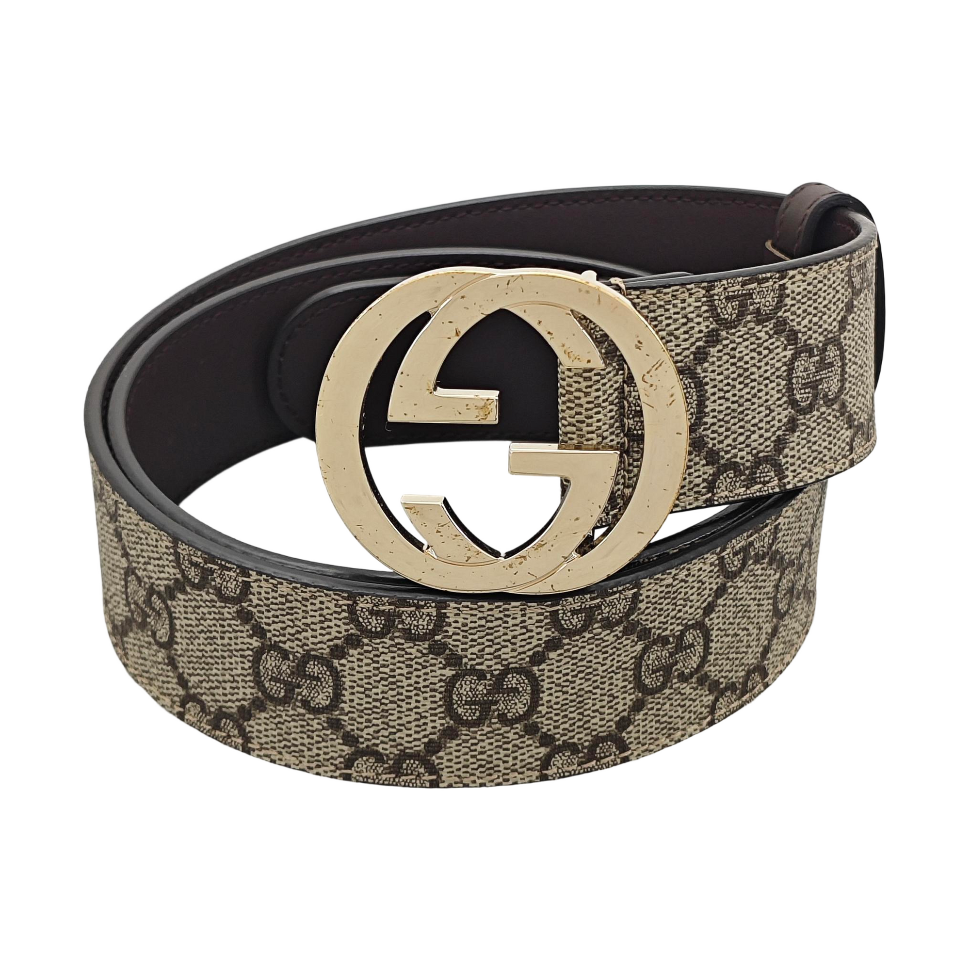 Coated Canvas Belt Beige