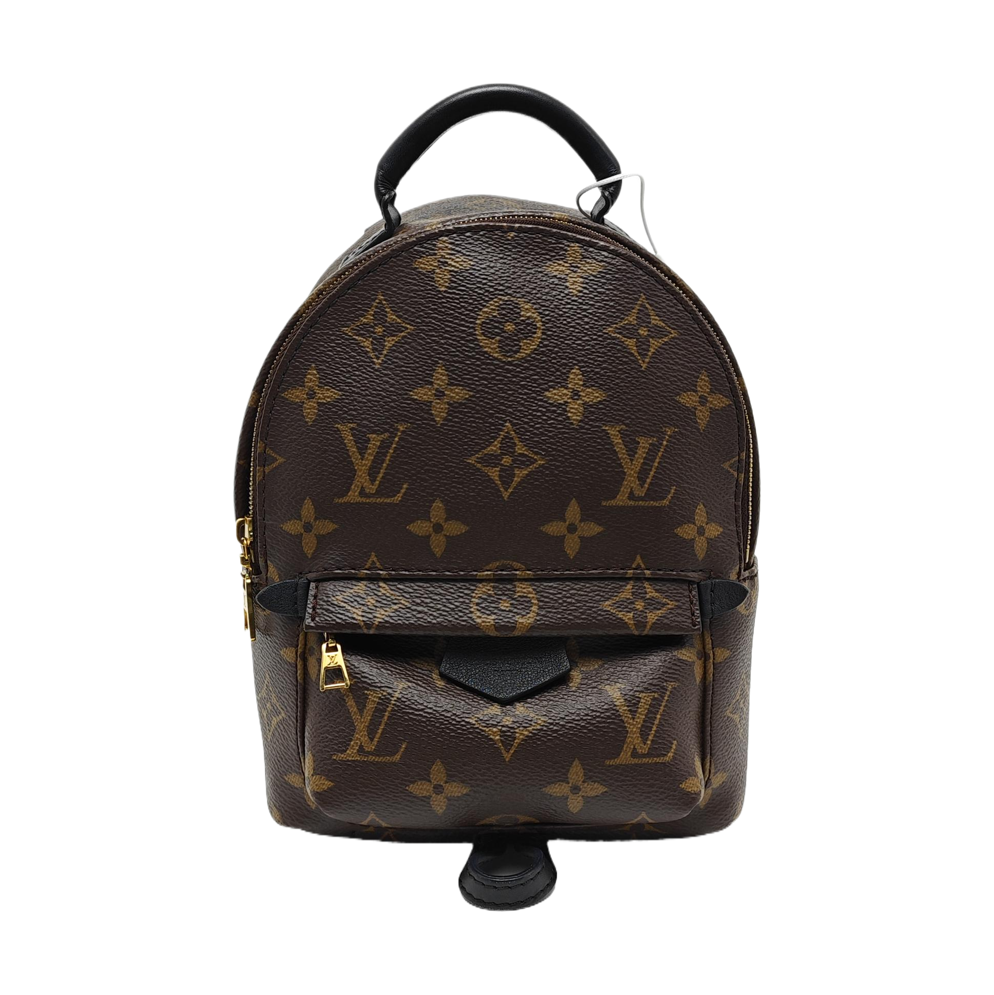 PALM SPRINGS Mini Monogram Coated Canvas Brown