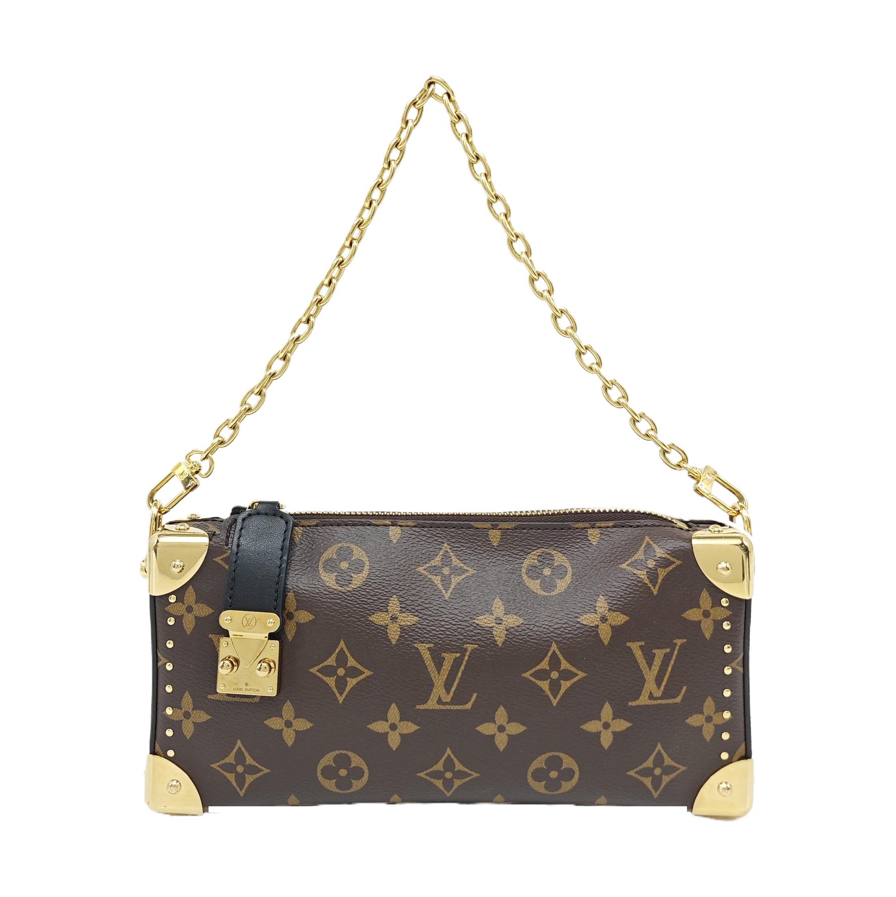 SLIM TRUNK Monogram Coated Canvas Brown