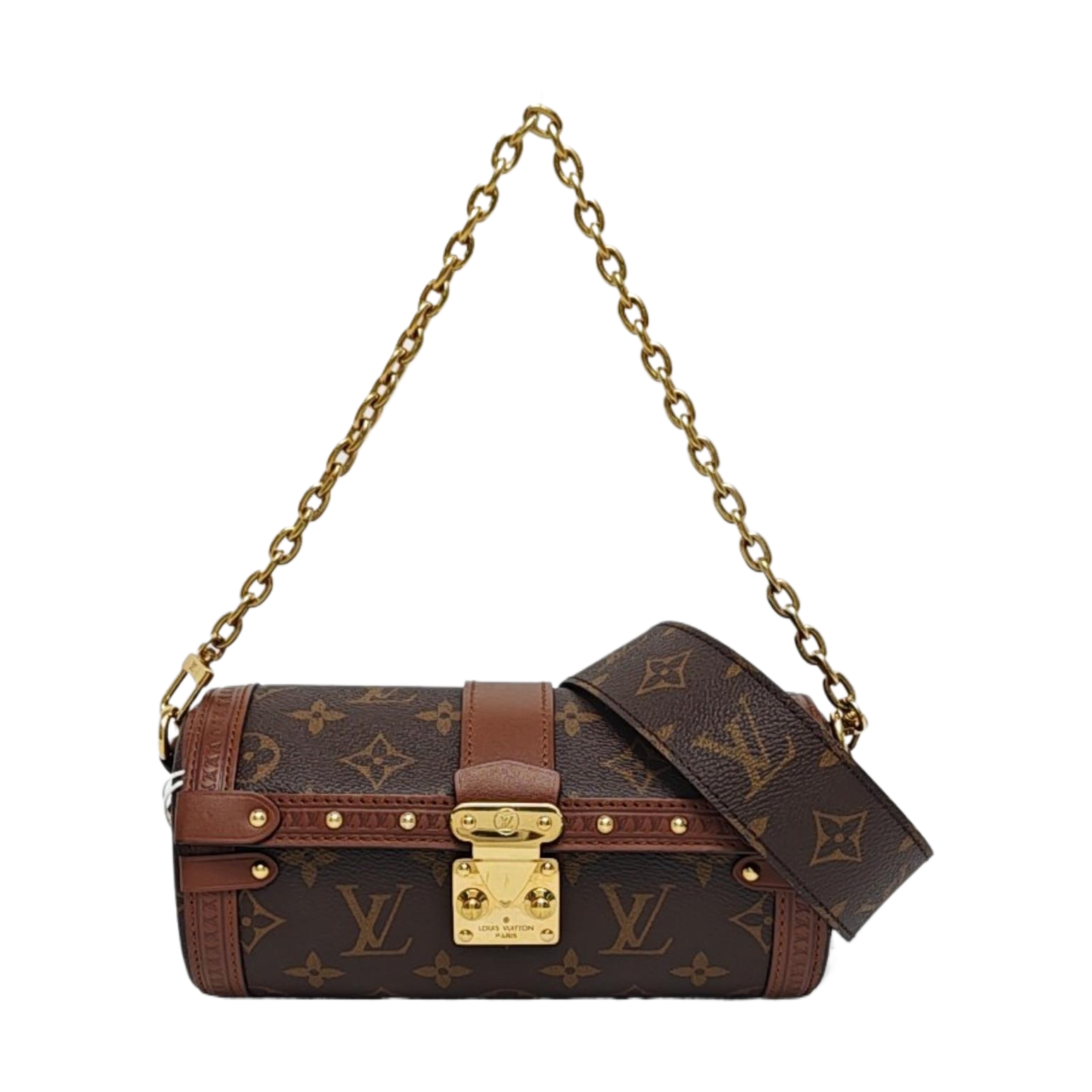 PAPILLON 19 Monogram Coated Canvas Brown