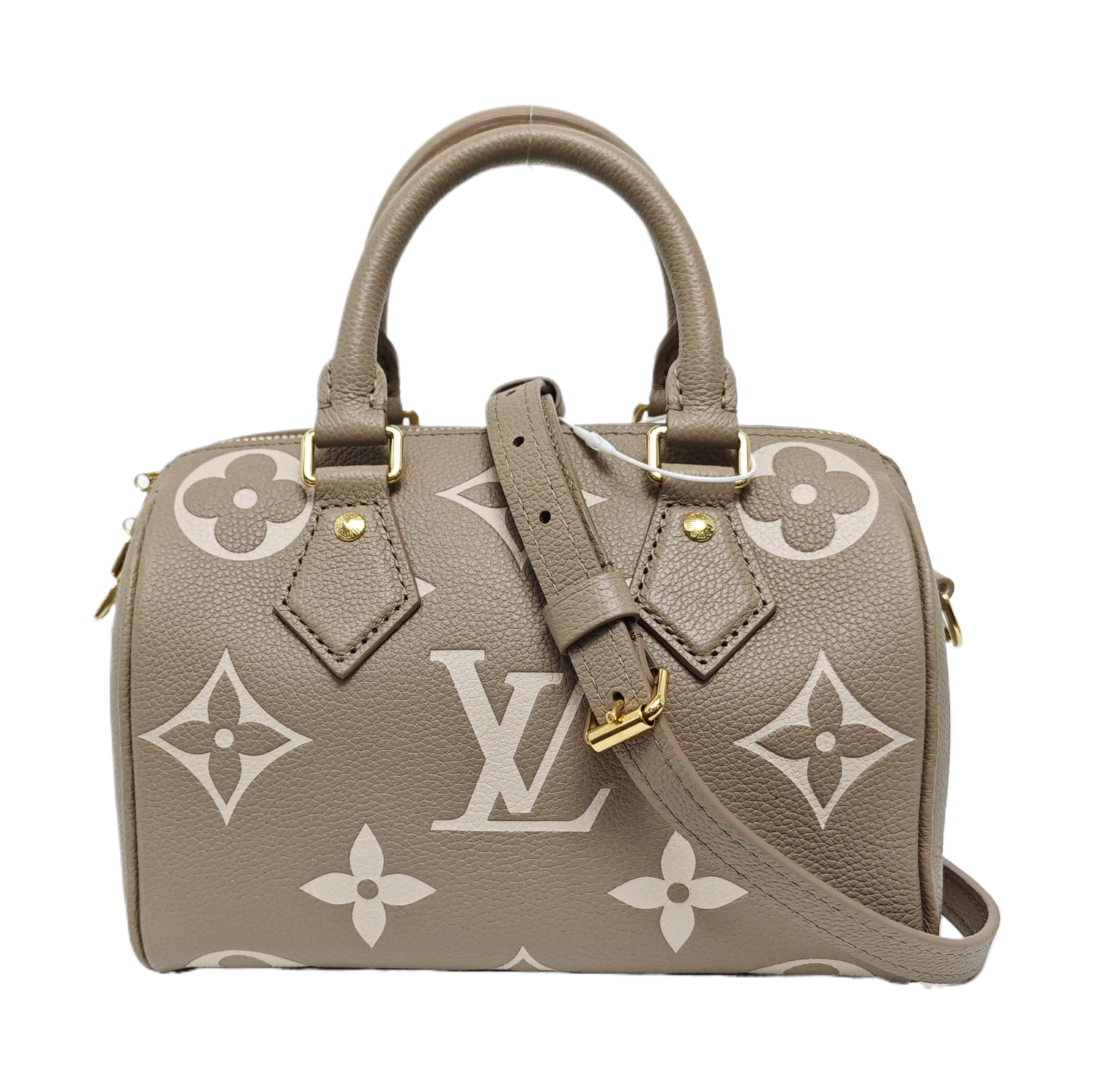 SPEEDY 20 Monogram Calfskin Gray