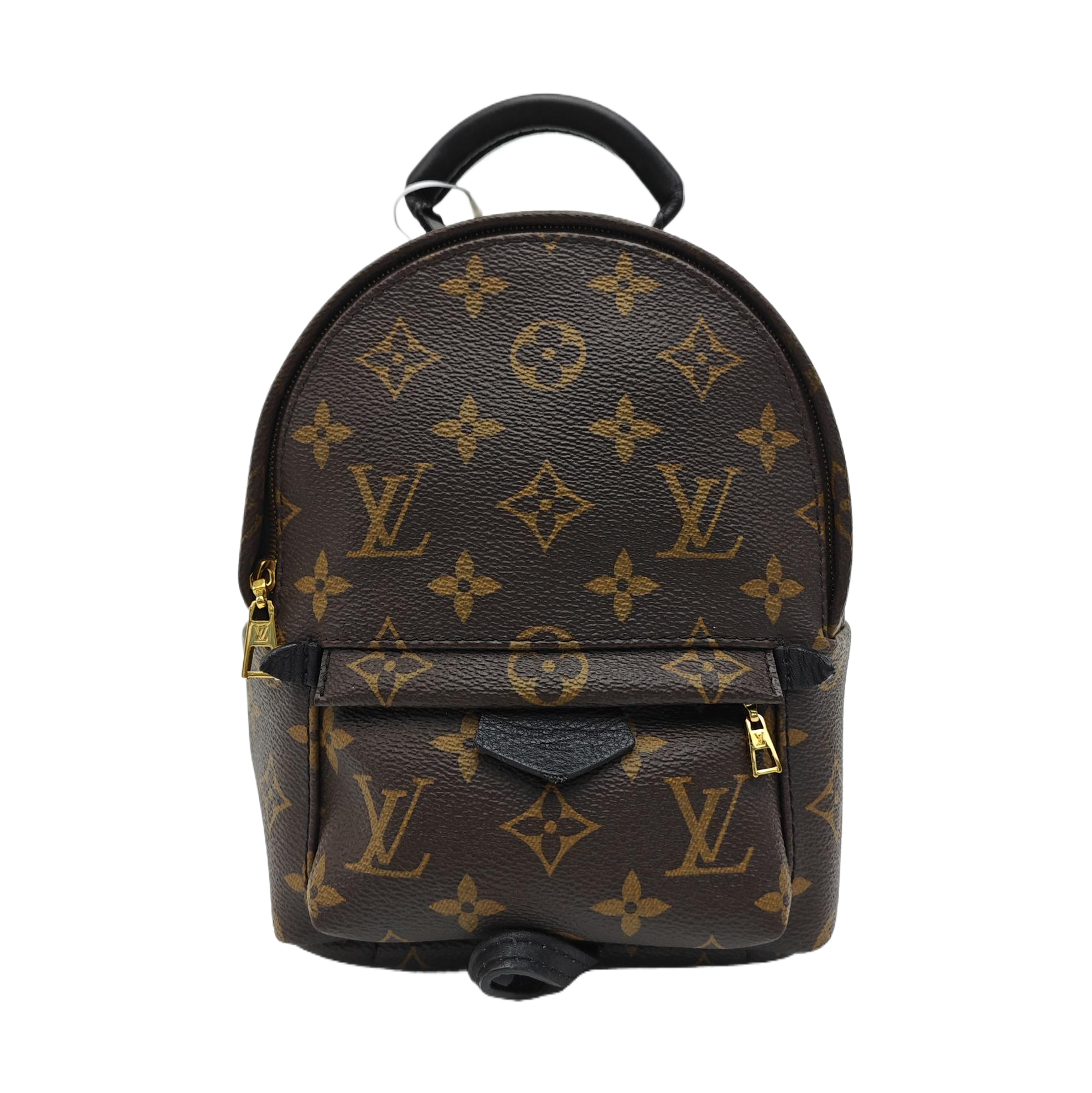 PALM SPRINGS Mini Monogram Coated Canvas Brown