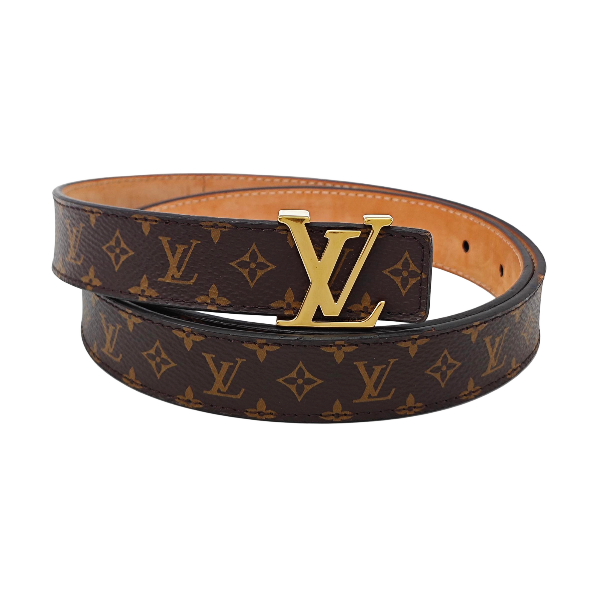 Coated Canvas Belt Brown