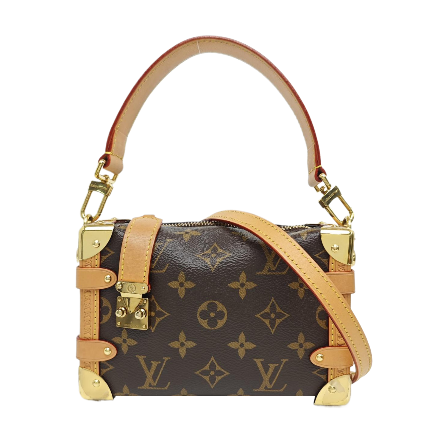 SIDE TRUNK PM Monogram Coated Canvas Brown
