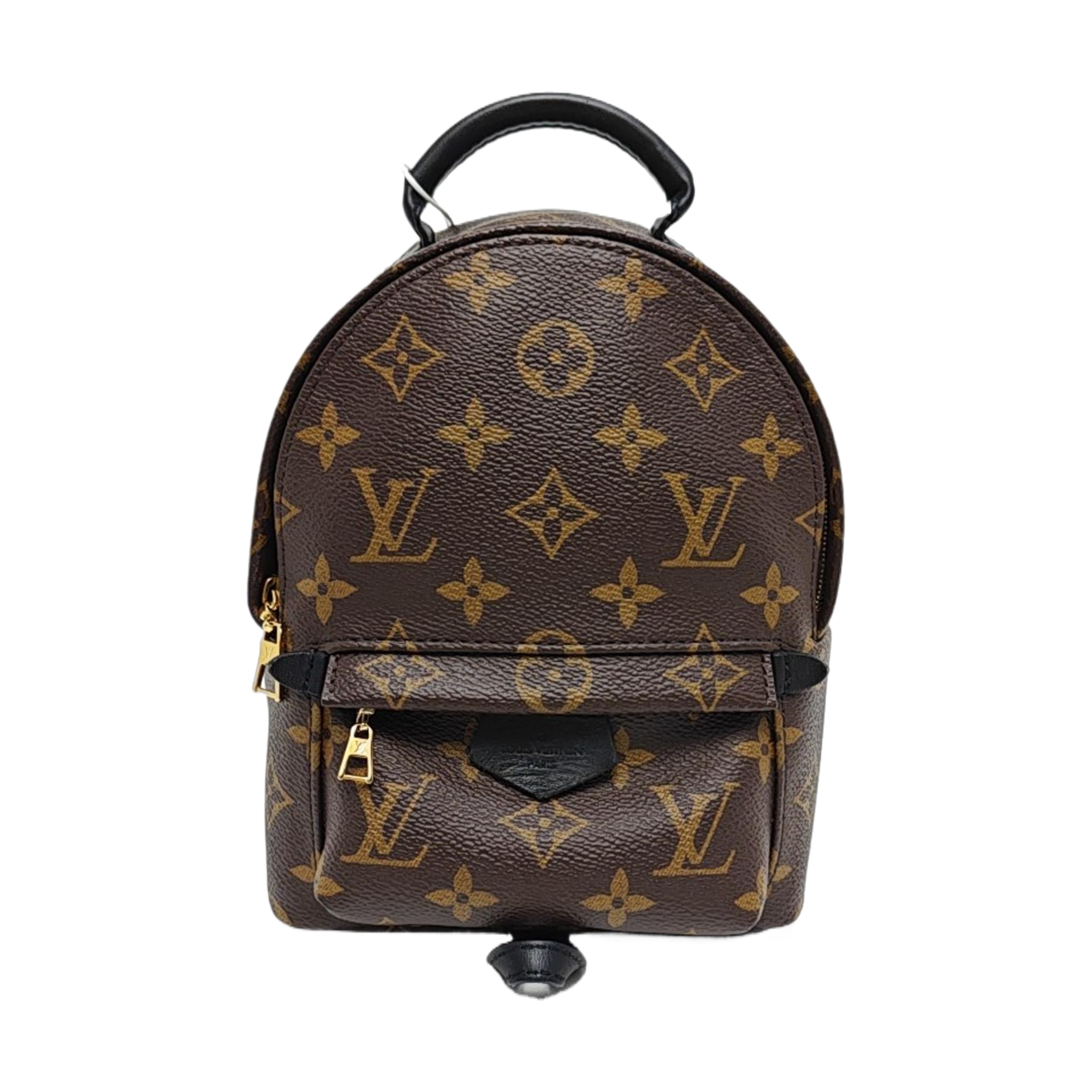 PALM SPRINGS Mini Monogram Coated Canvas Brown