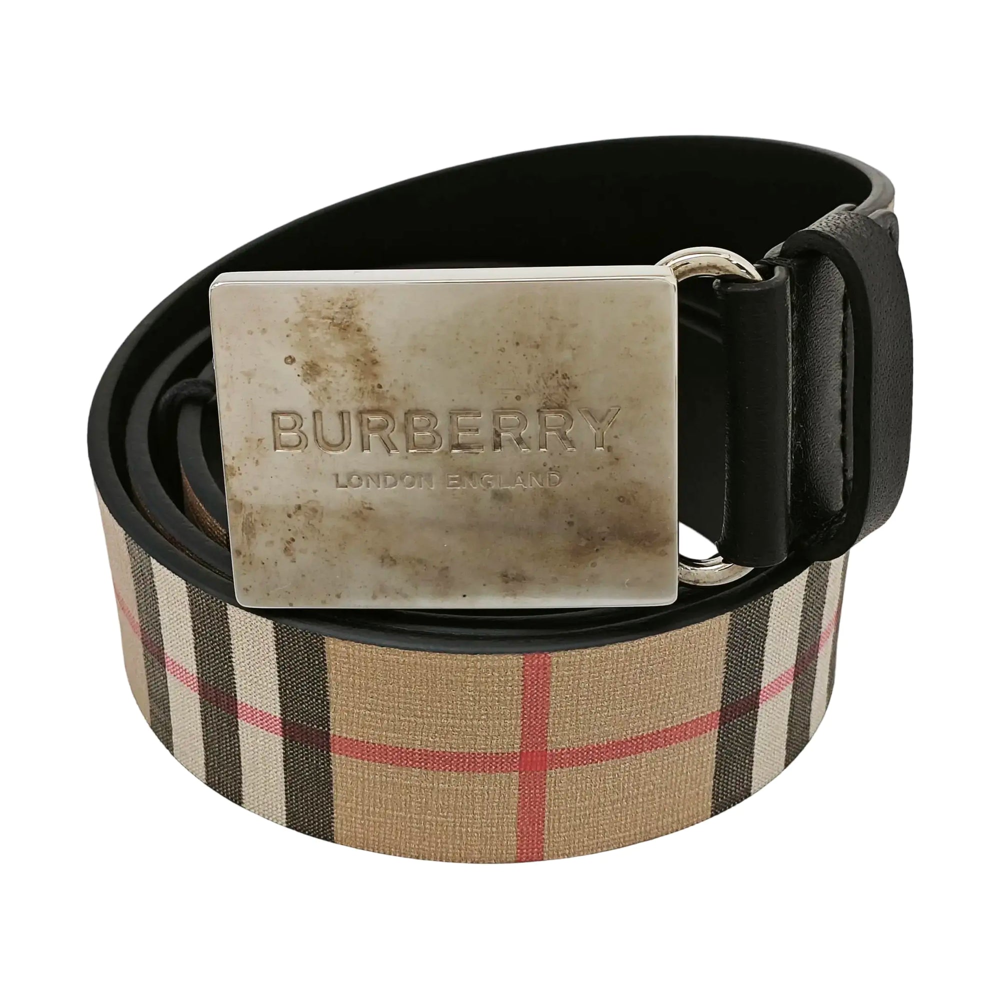 Coated Canvas Belt Beige