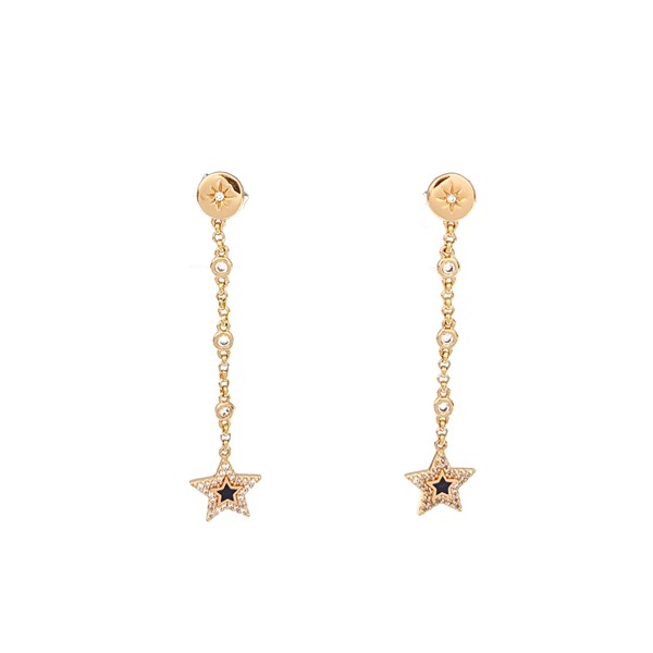 Stainless Steel Rose Gold Earrings